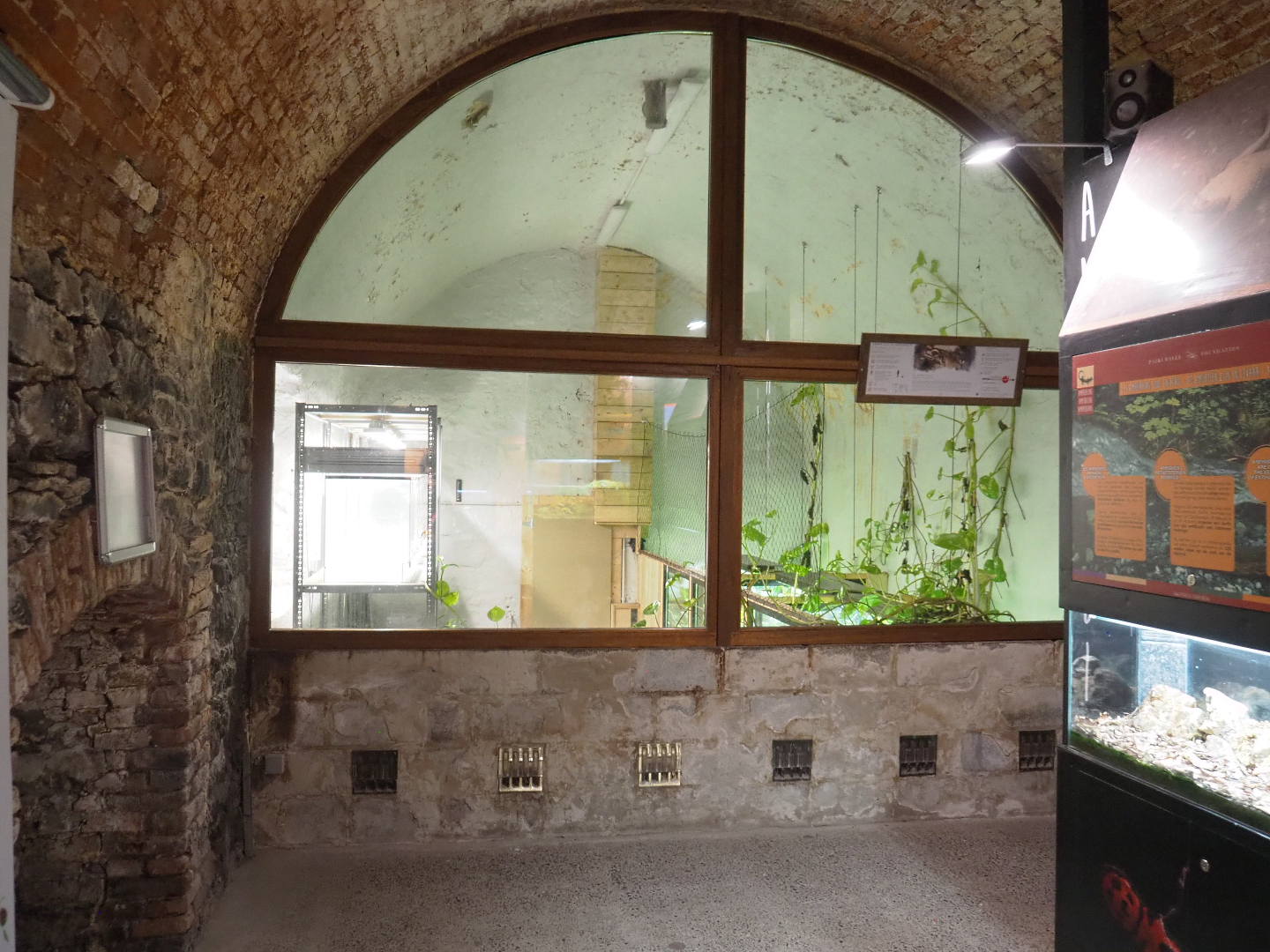 Crypt - Amphibian breeding room and part of public terrarium room, 2022-09-15