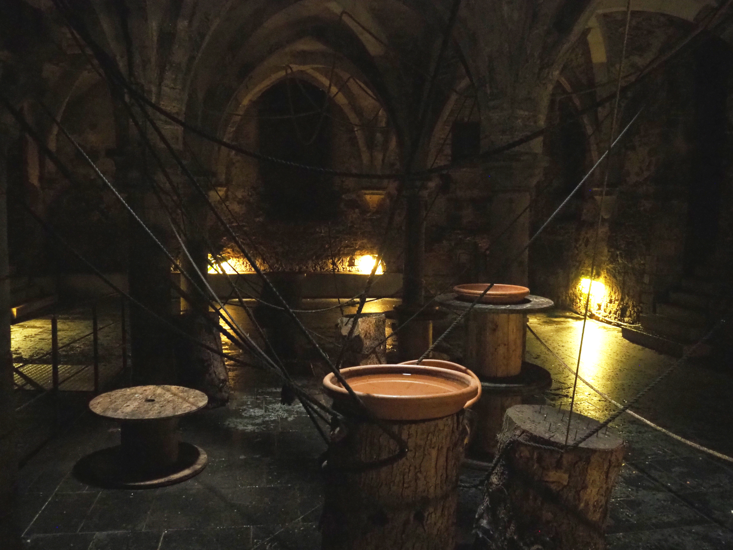 Crypt - Egyptian fruit bat walk-through exhibit, 2022-09-15