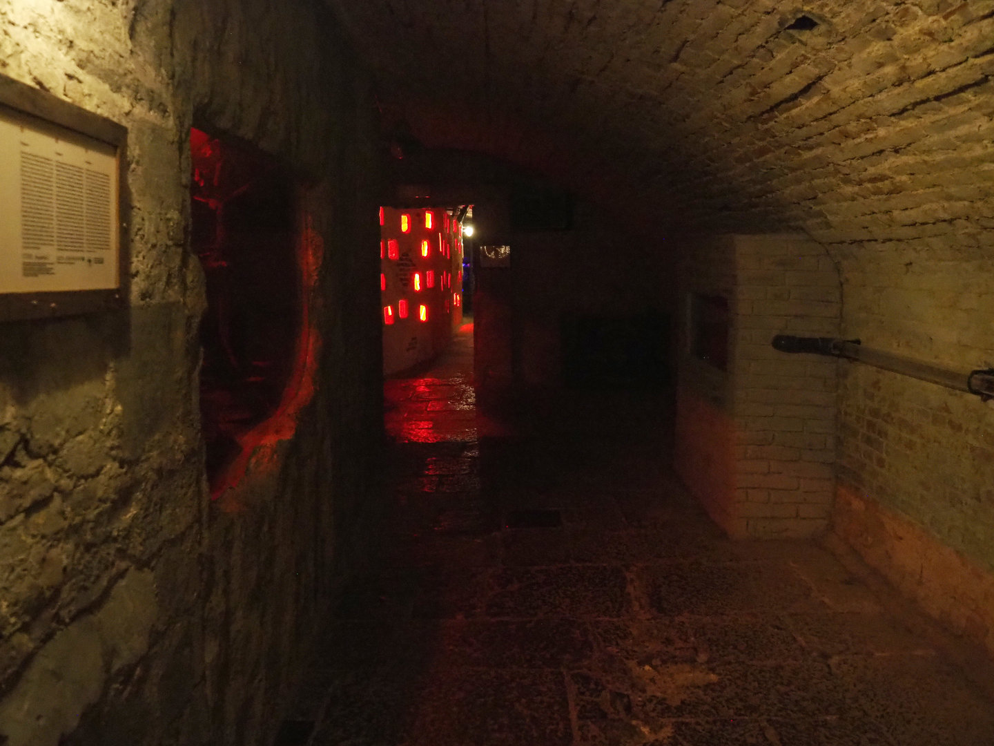 Crypt - Grey mouse lemur and Naked mole-rat exhibits, 2022-09-15