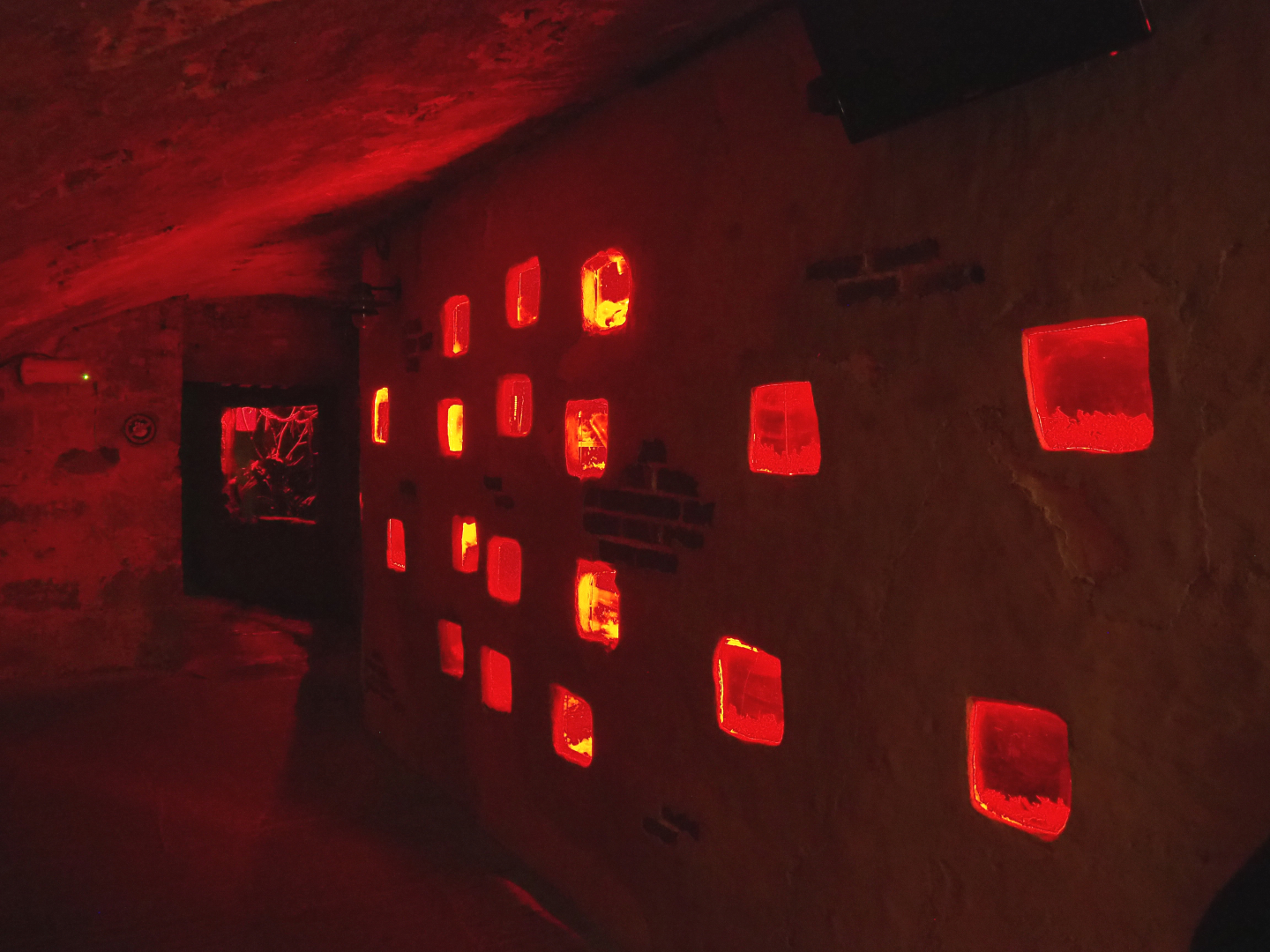 Crypt - Grey mouse lemur and Naked mole-rat exhibits, 2022-09-15