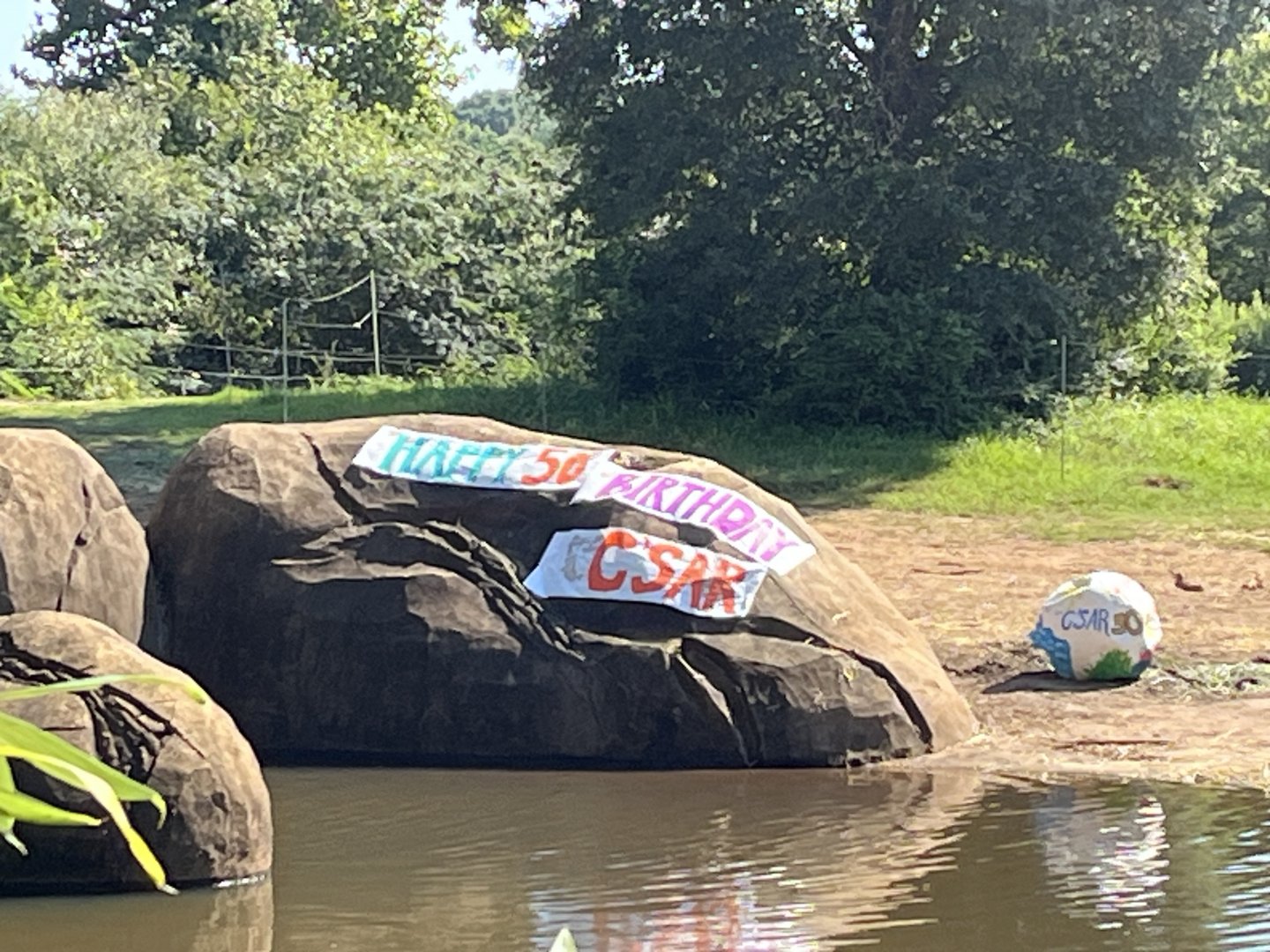 C’Sar’s birthday banner