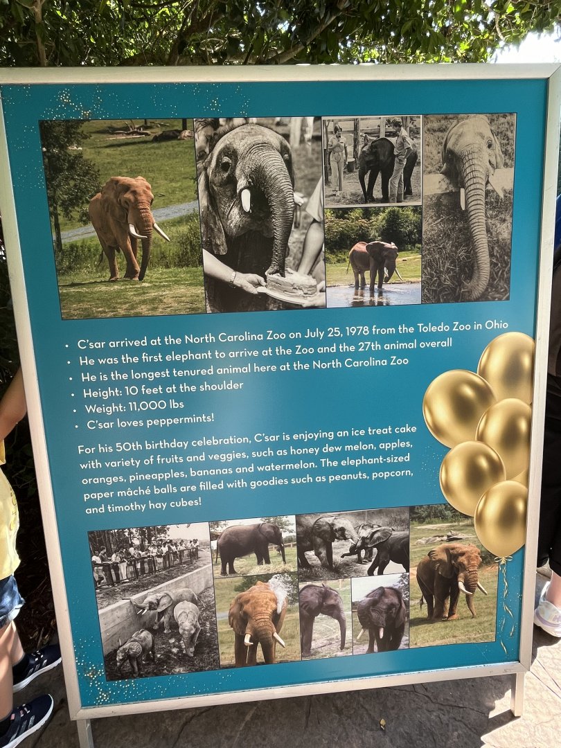 C’Sar’s life story