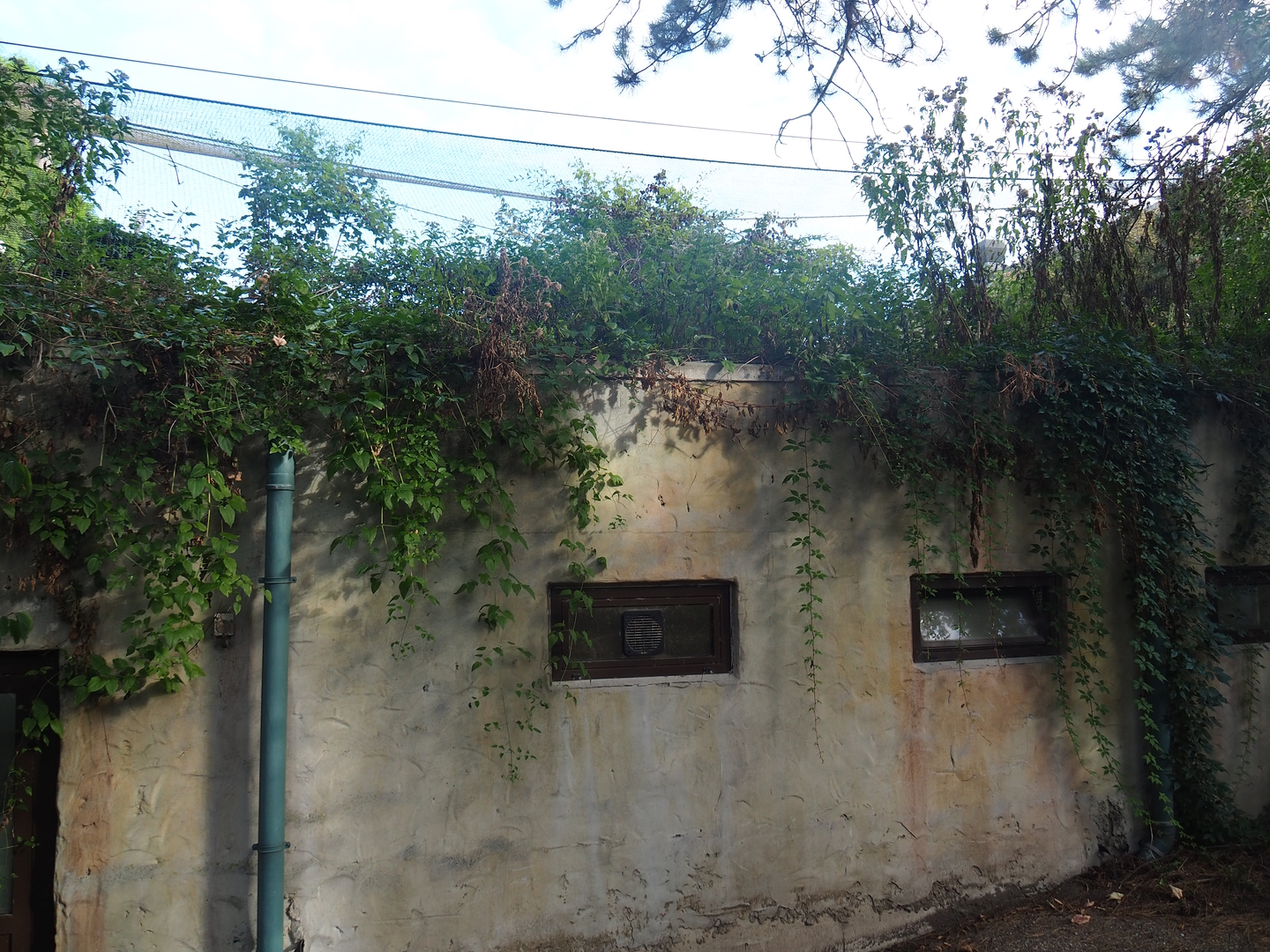 Cuban aviary holding building, 2022-08-28