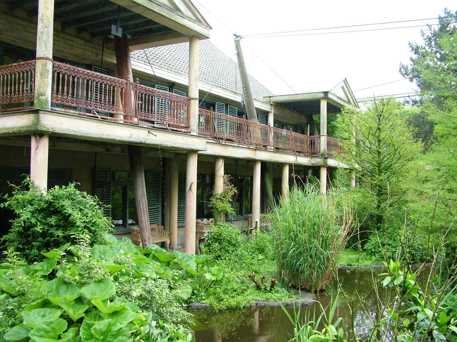 Cuban Aviary Interior at Avifauna, 04/06/12