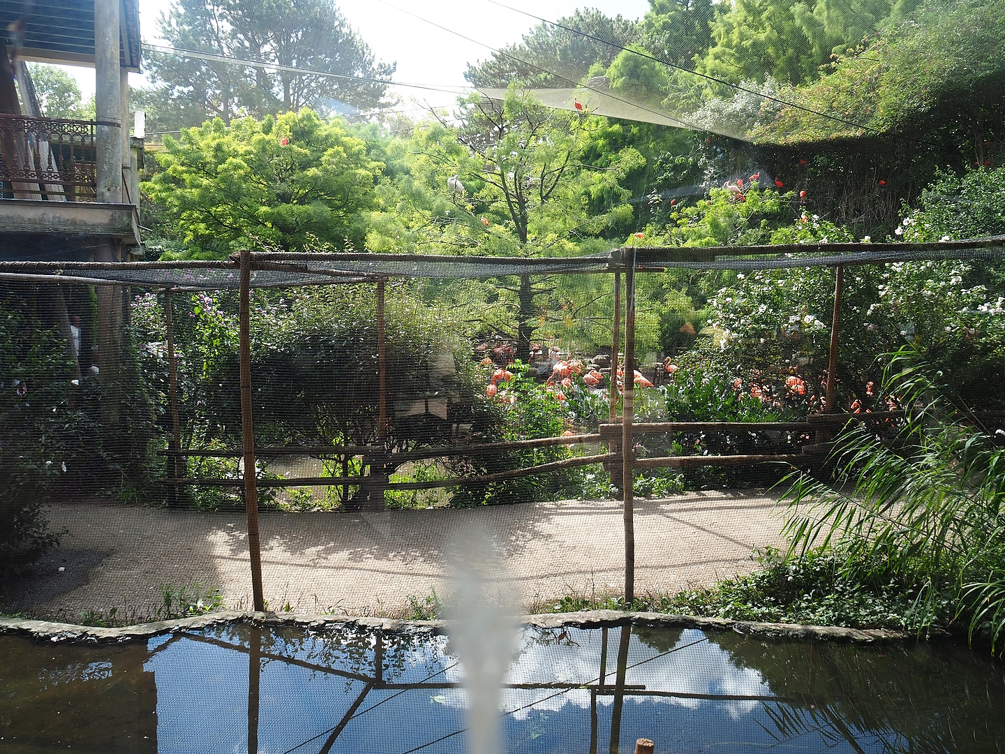 Cuban aviary seen from the terrace next to it, 2022-08-28