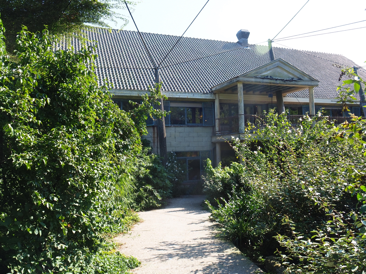 Cuban aviary (Sep 2nd, 2018)