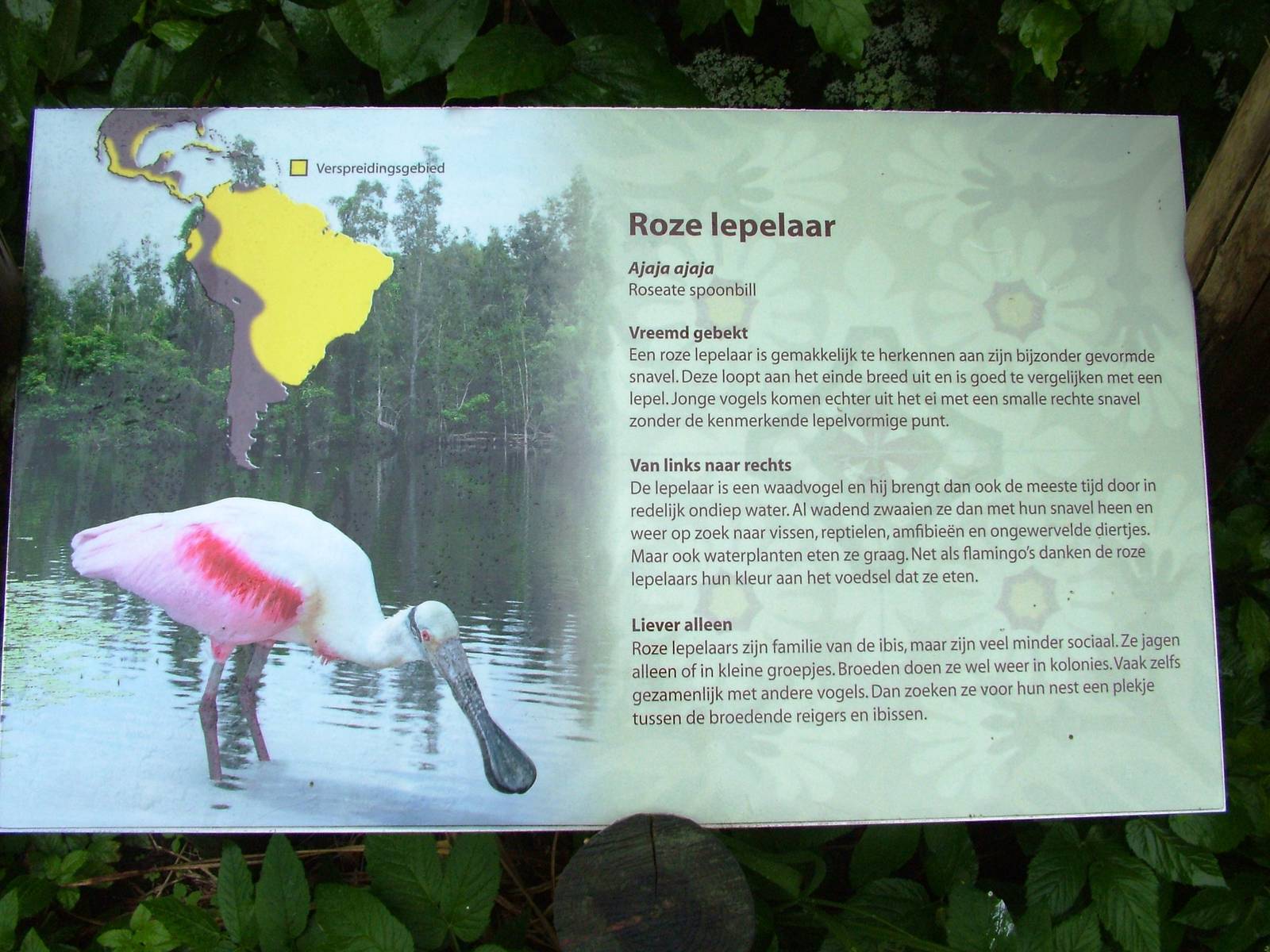 Cuban Aviary Signage at Avifauna, 04/06/12