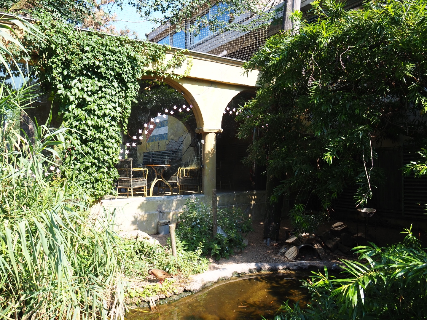 Cuban aviary - view towards terrace windows (Sep 2nd, 2018)