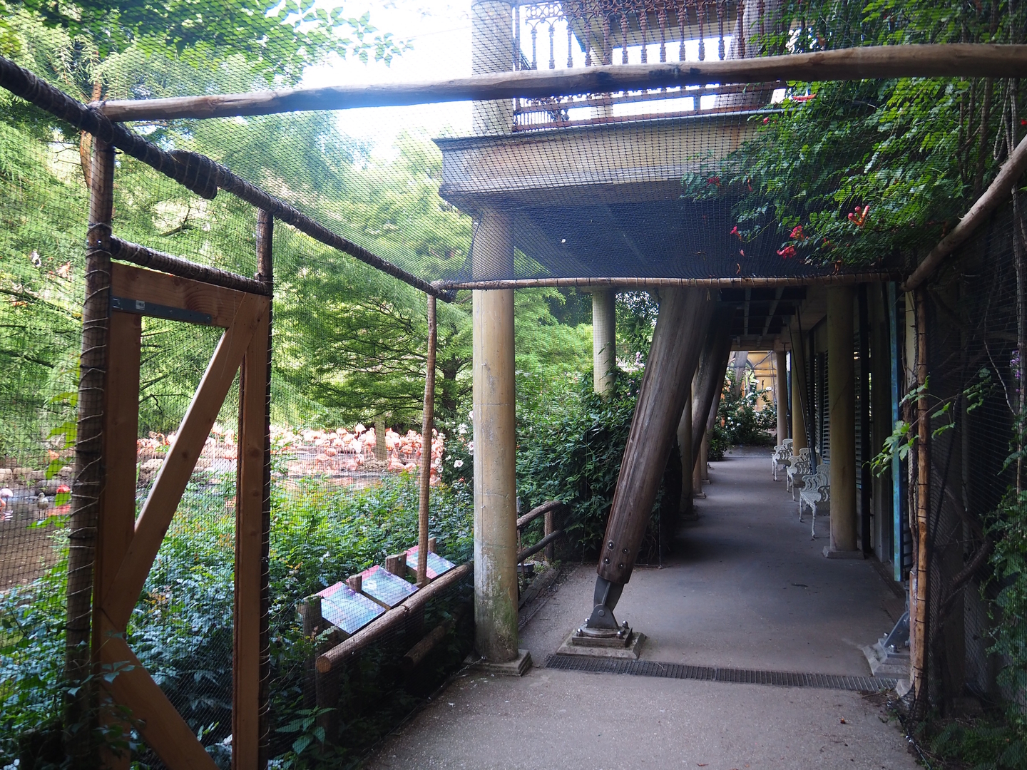 Cuban aviary visitor area, 2022-08-28