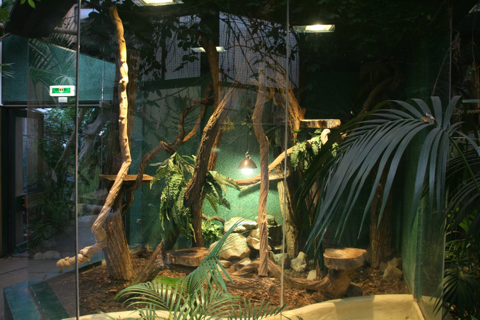 Cuban boa enclosure