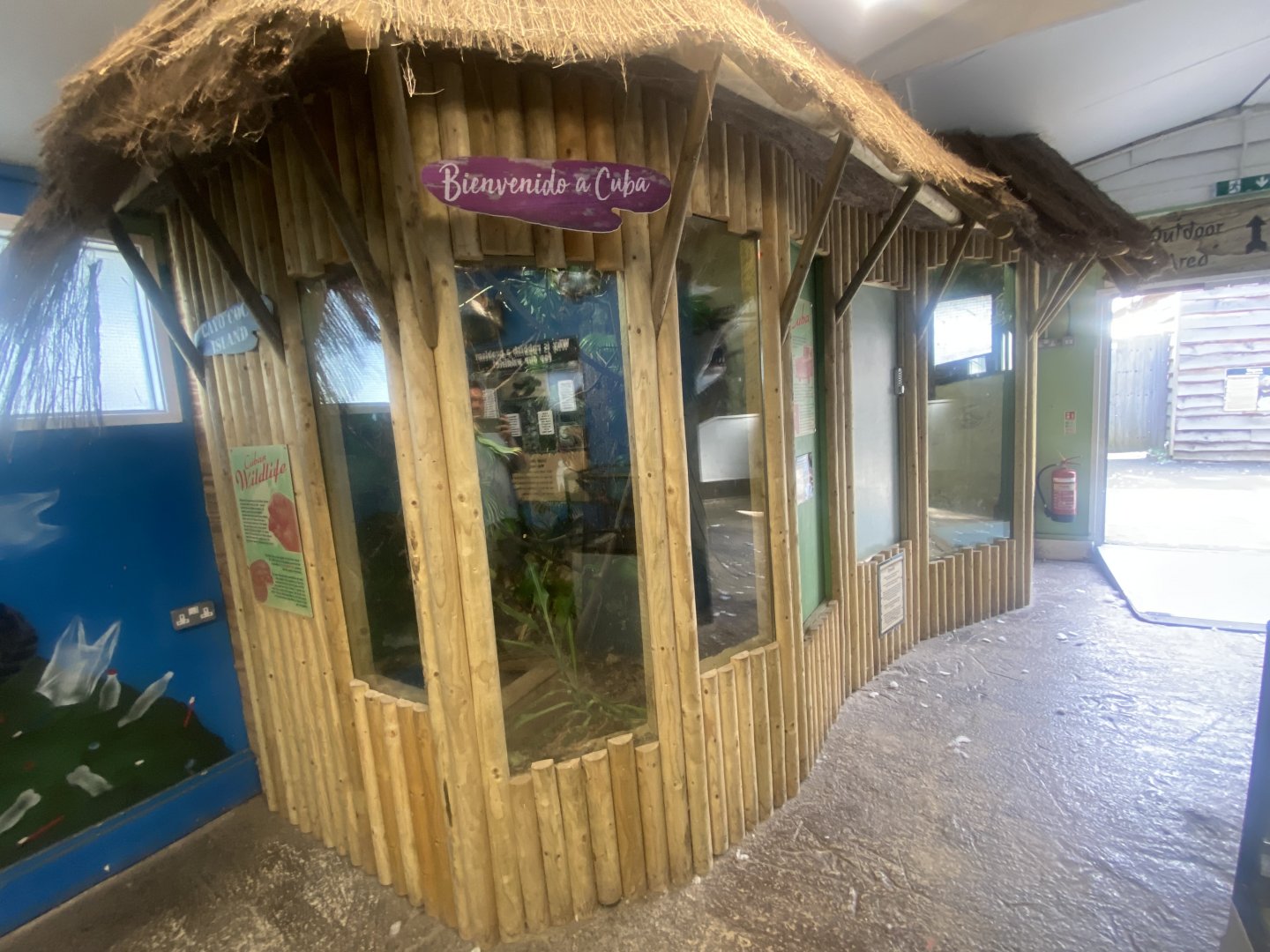 Cuban boa exhibit 280425