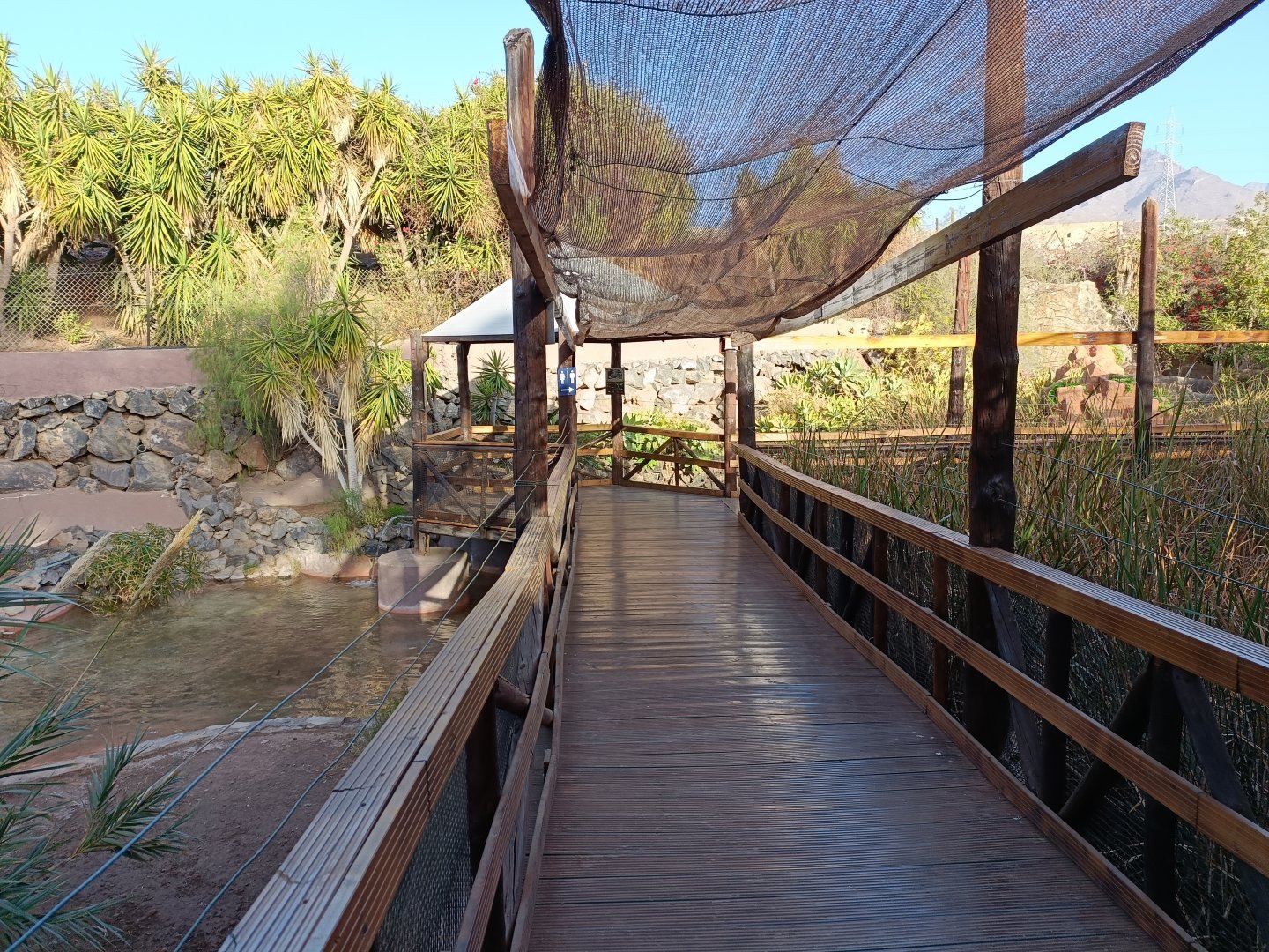 Cuban cocodrile exhibit