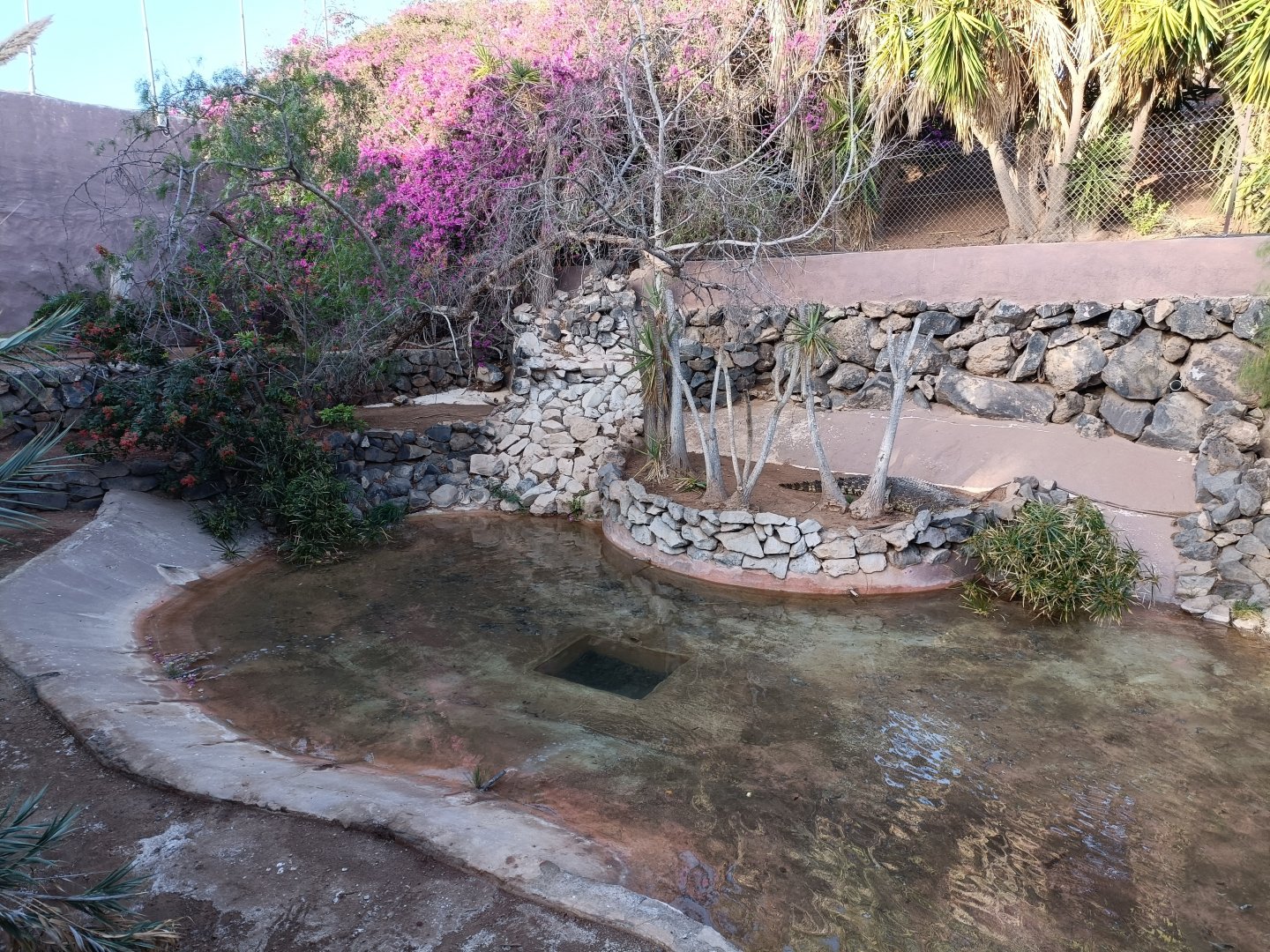Cuban cocodrile exhibit