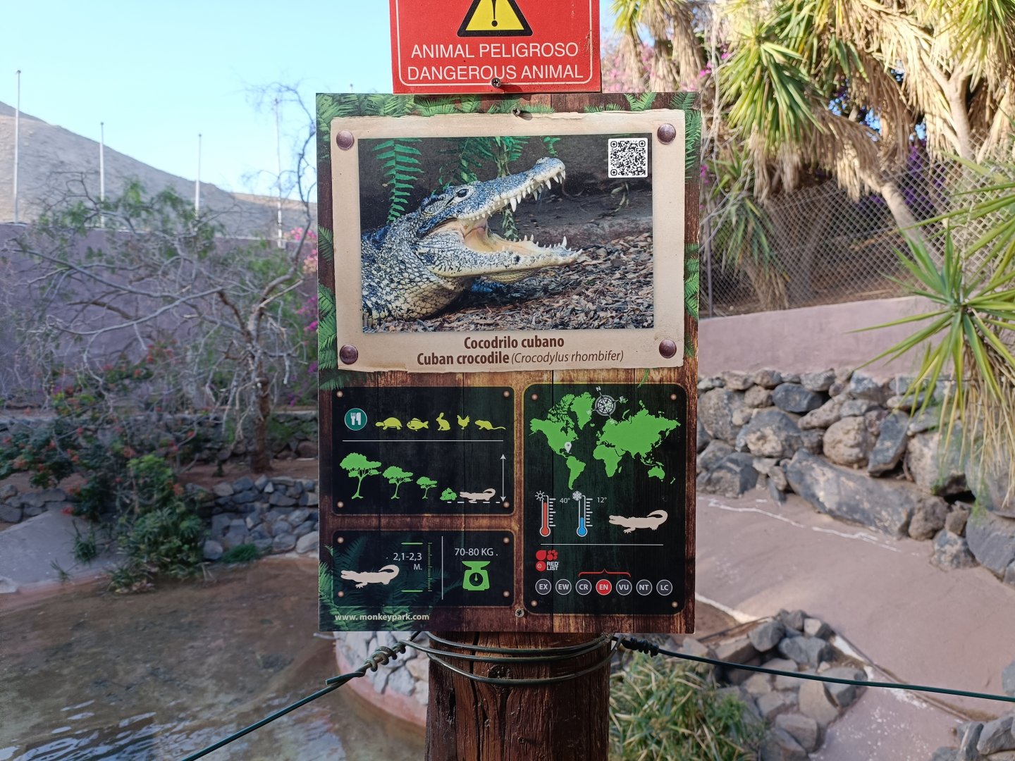 Cuban cocodrile sign