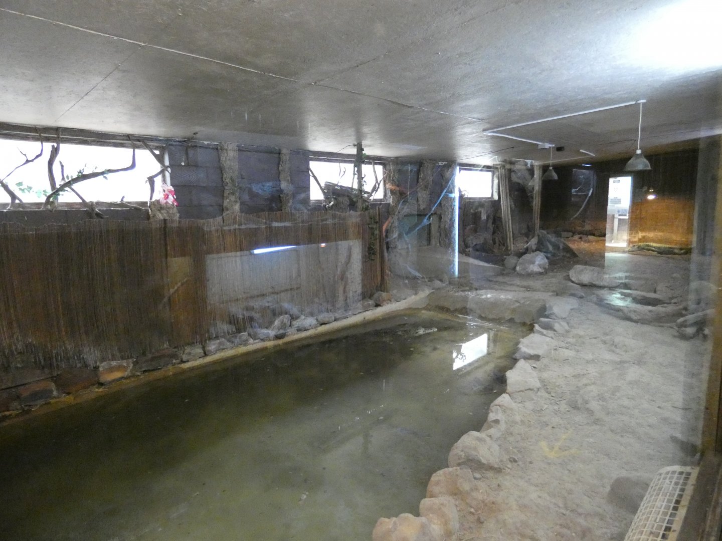 Cuban Crocodile enclosure