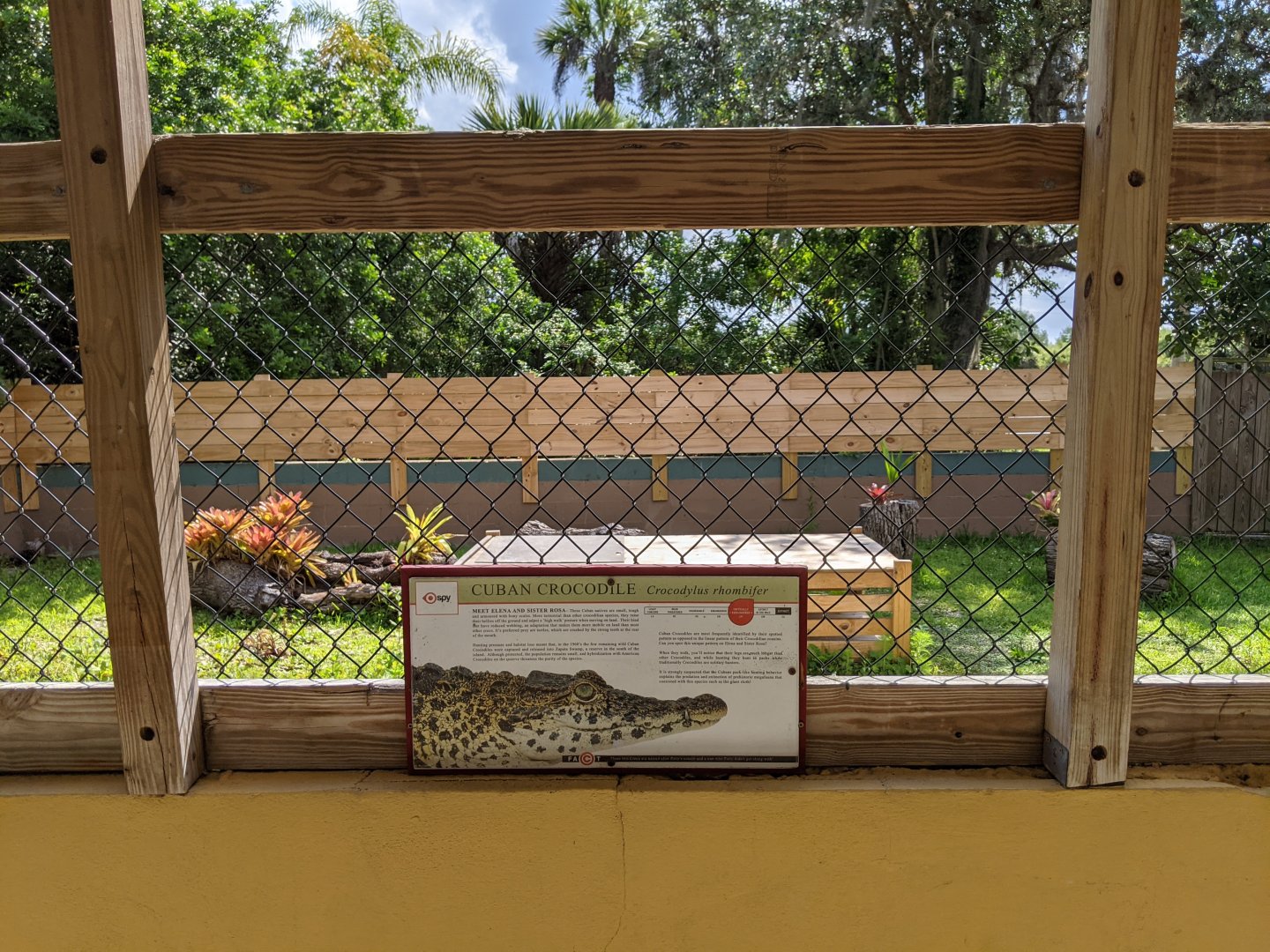 Cuban Crocodile enclosure
