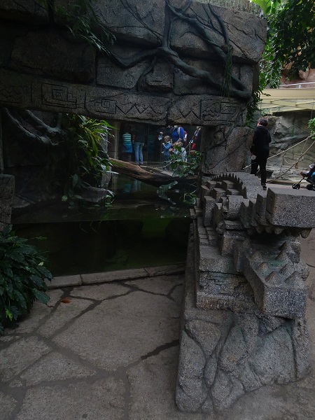 Cuban crocodile enclosure