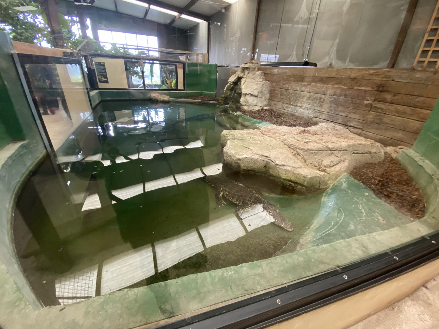 Cuban crocodile enclosure