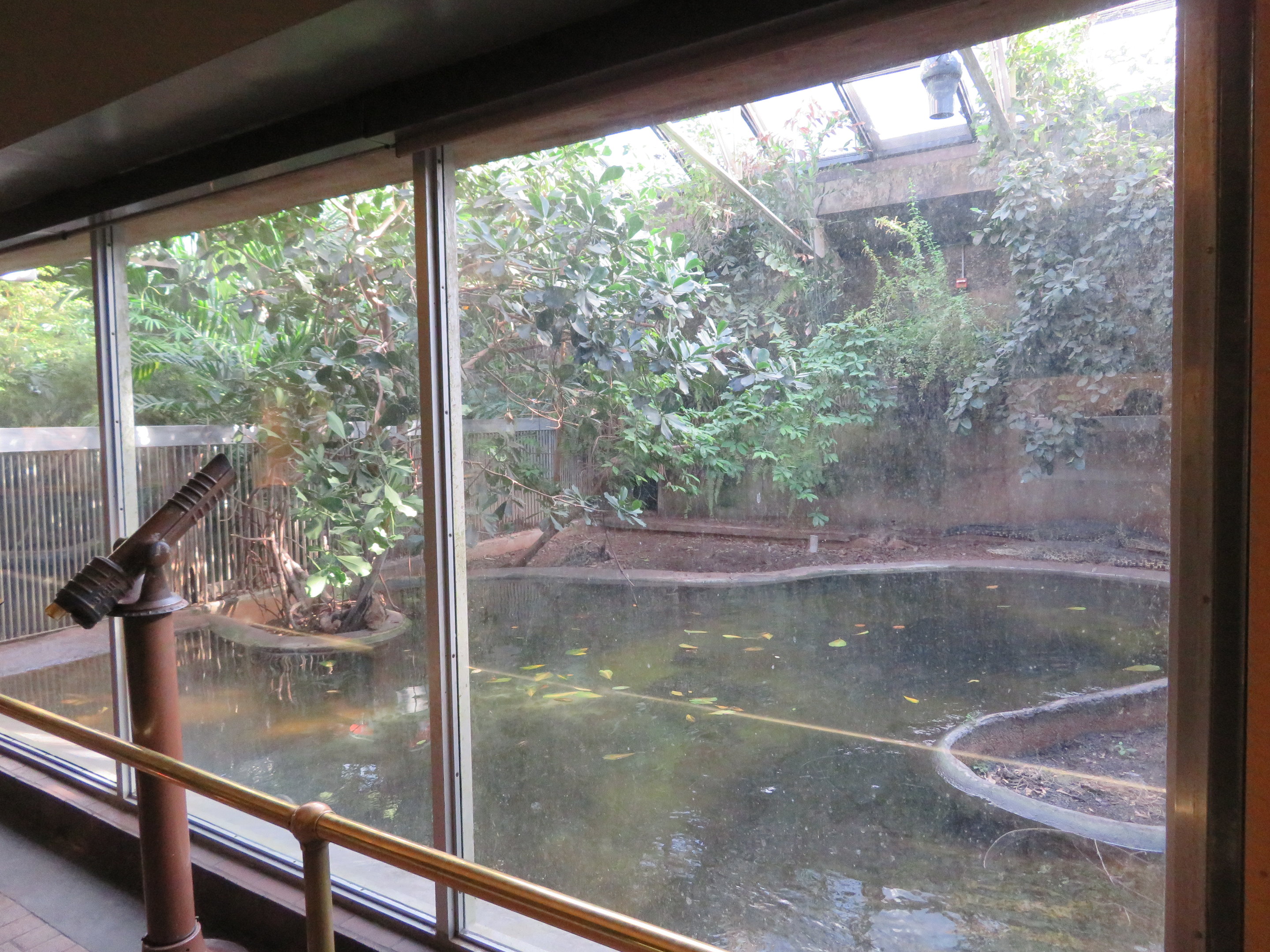 Cuban Crocodile Exhibit (1 of 2)