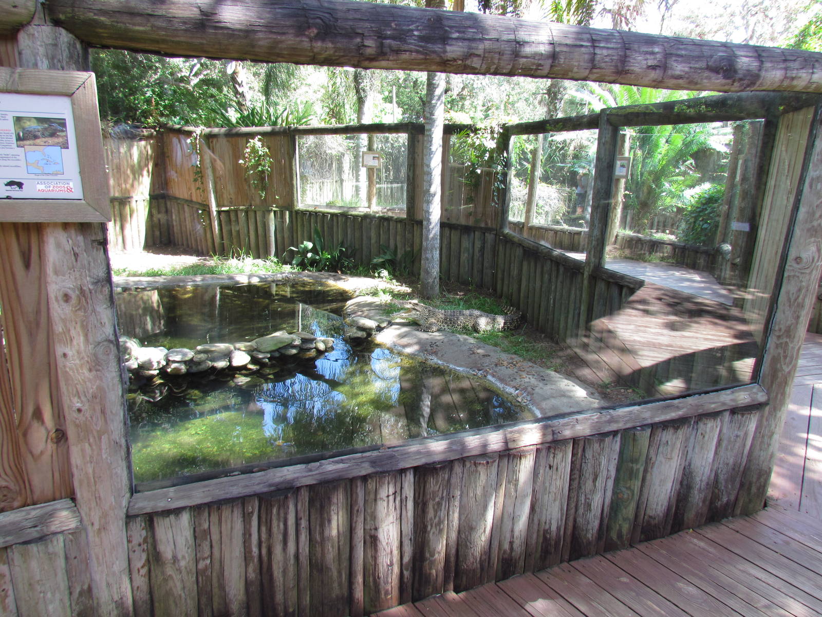 Cuban Crocodile Exhibit