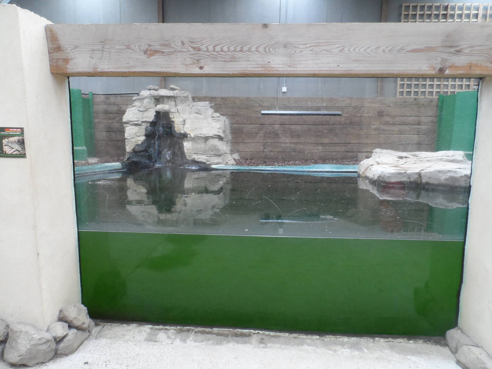 Cuban Crocodile Exhibit