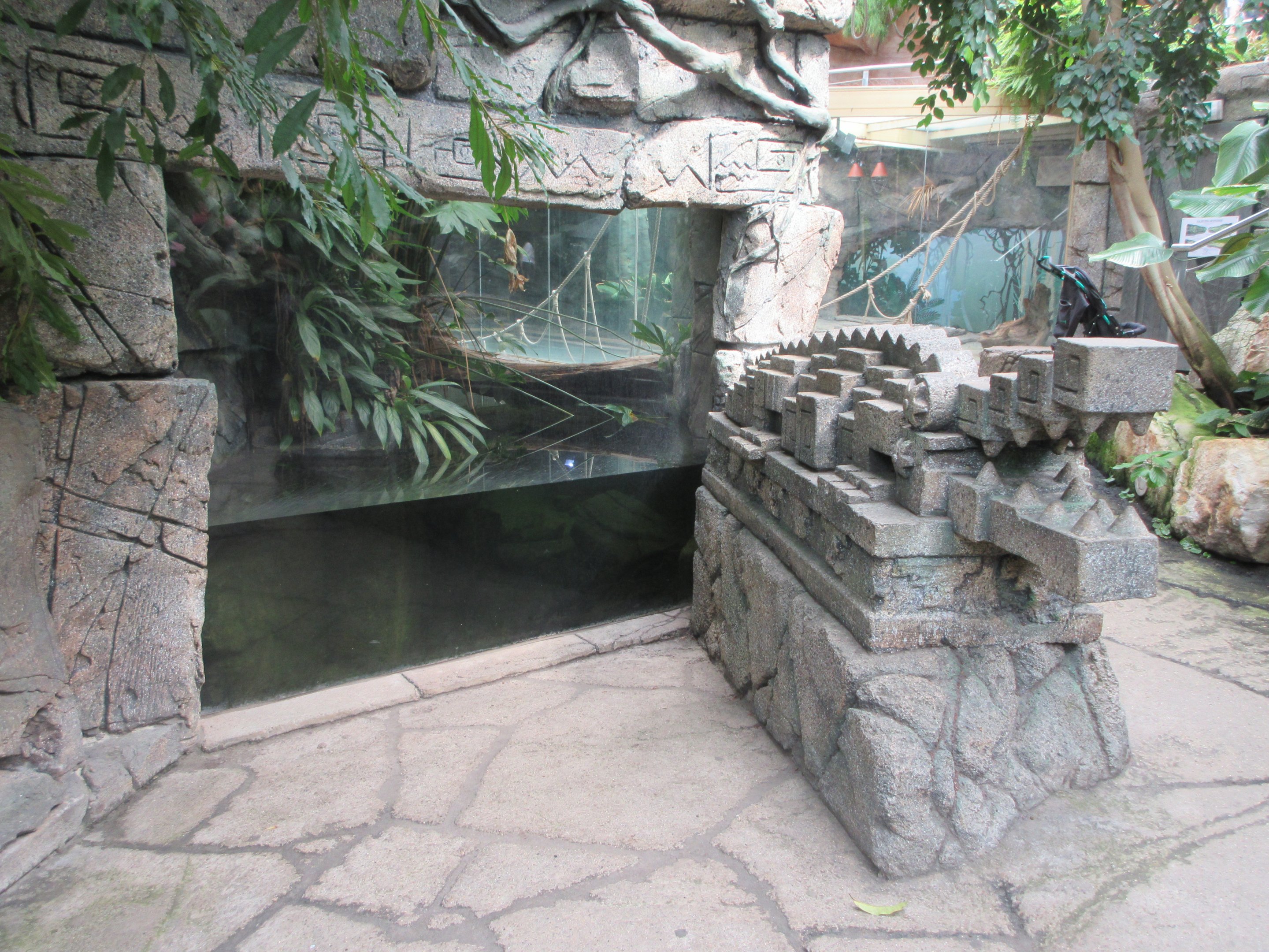 Cuban Crocodile Exhibit
