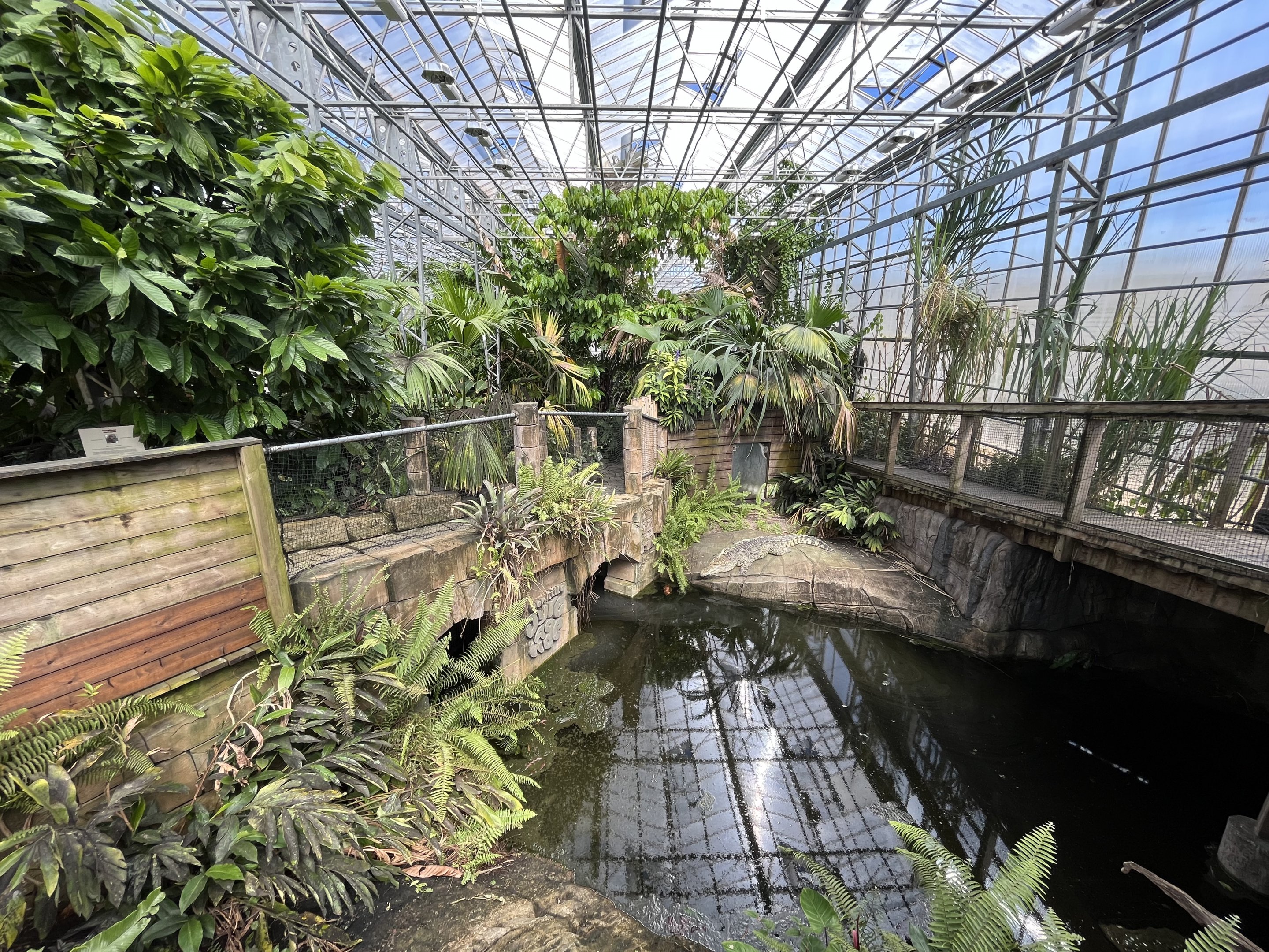 Cuban Crocodile Exhibit