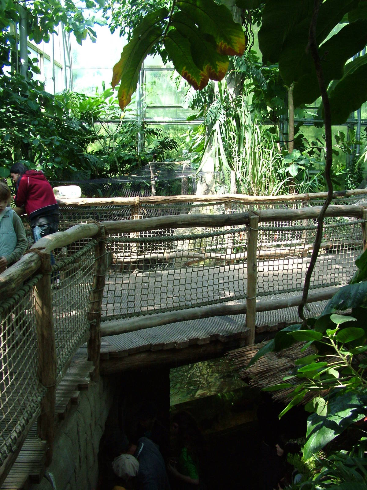 Cuban Crocodile exhibits at Zlin, 28/05/10