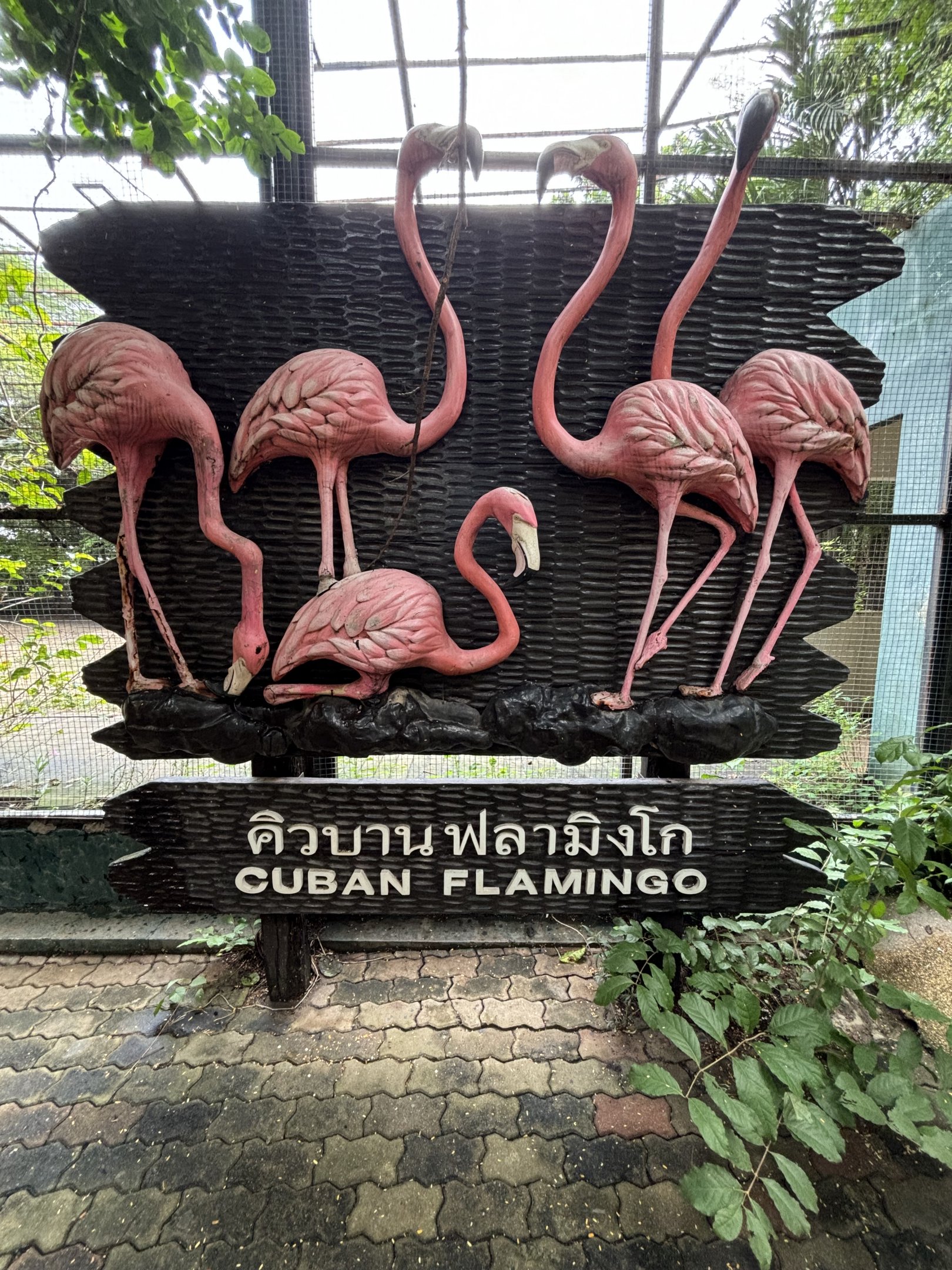 Cuban Flamingo Sign