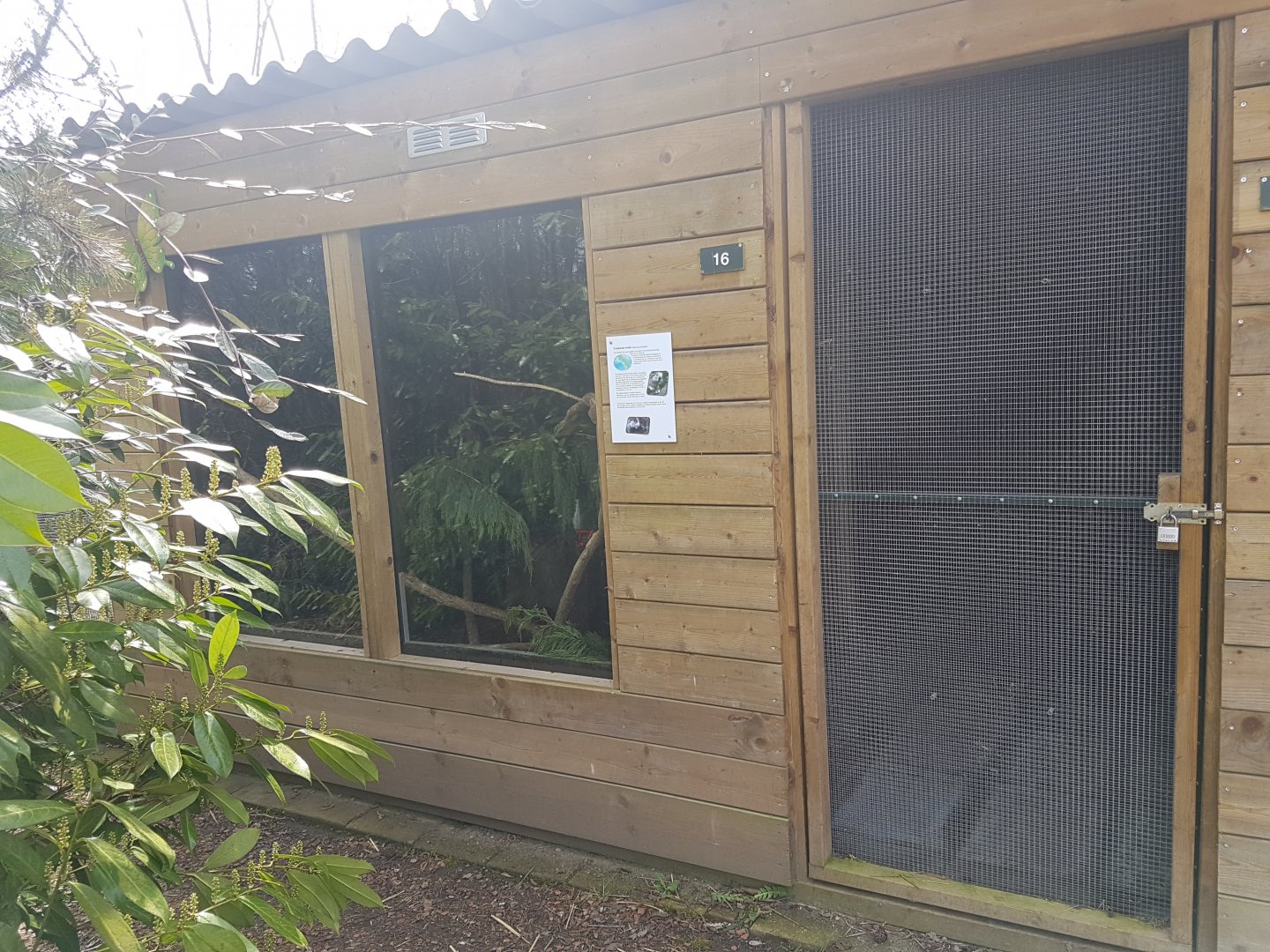 Cuban hutia-enclosure