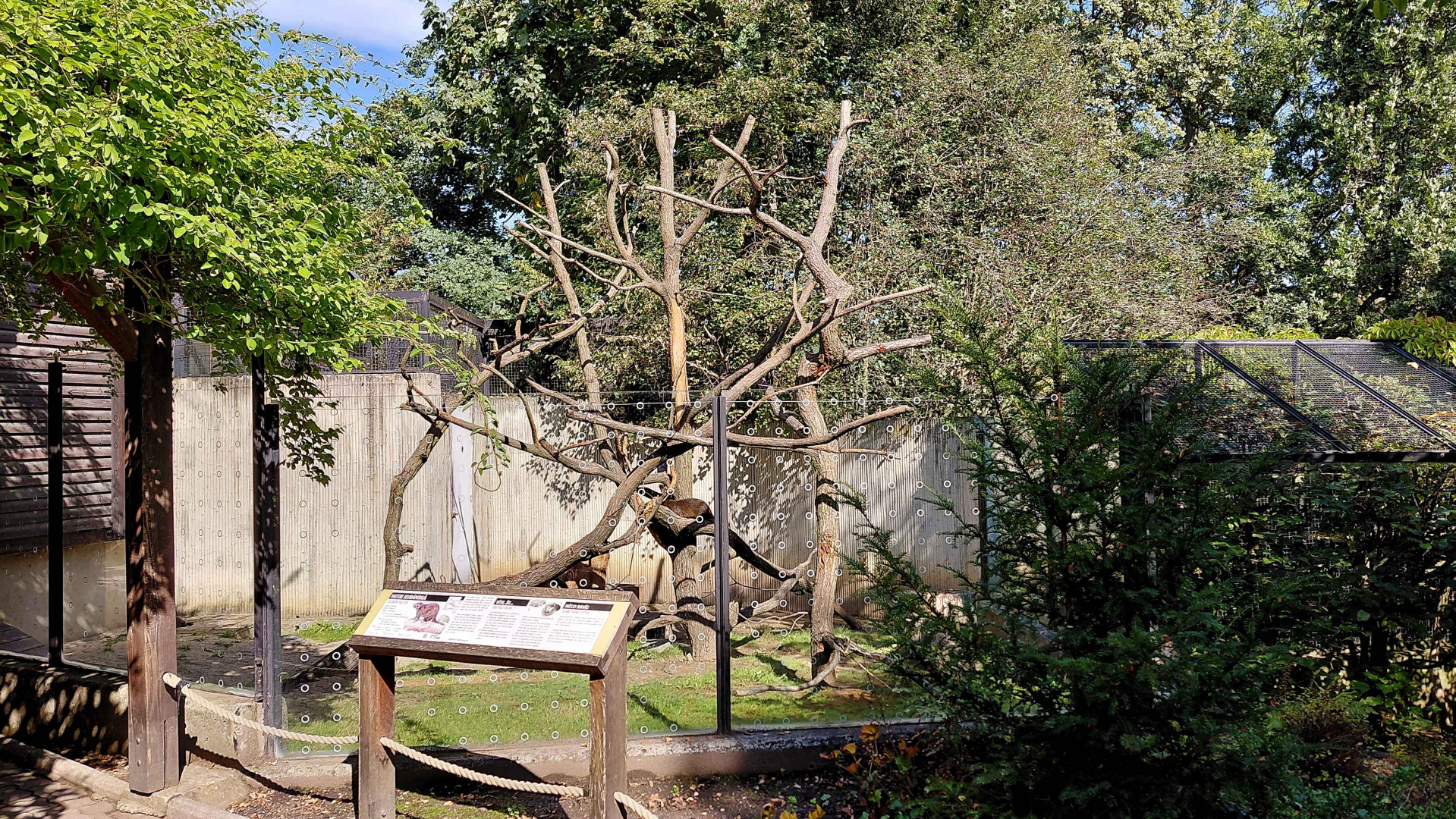 Cuban hutia outdoor exhibit