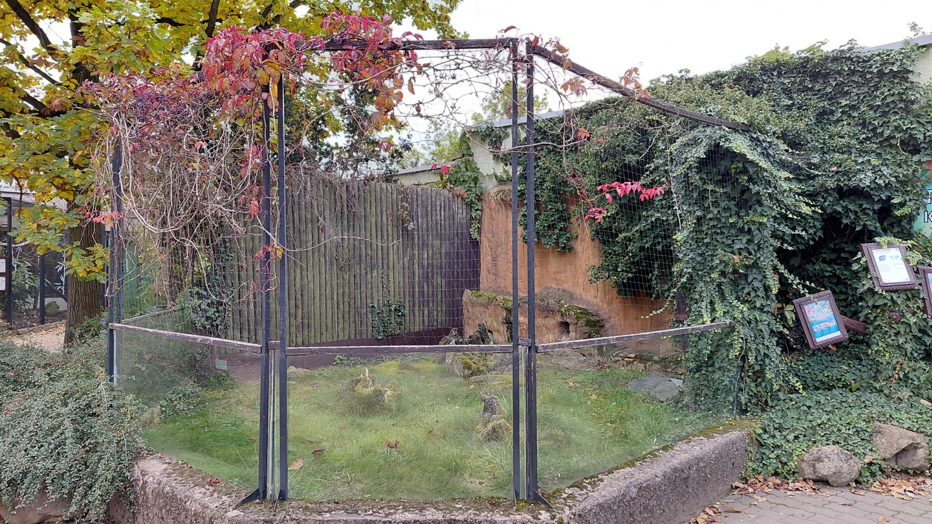 Cuban hutia outdoor exhibit