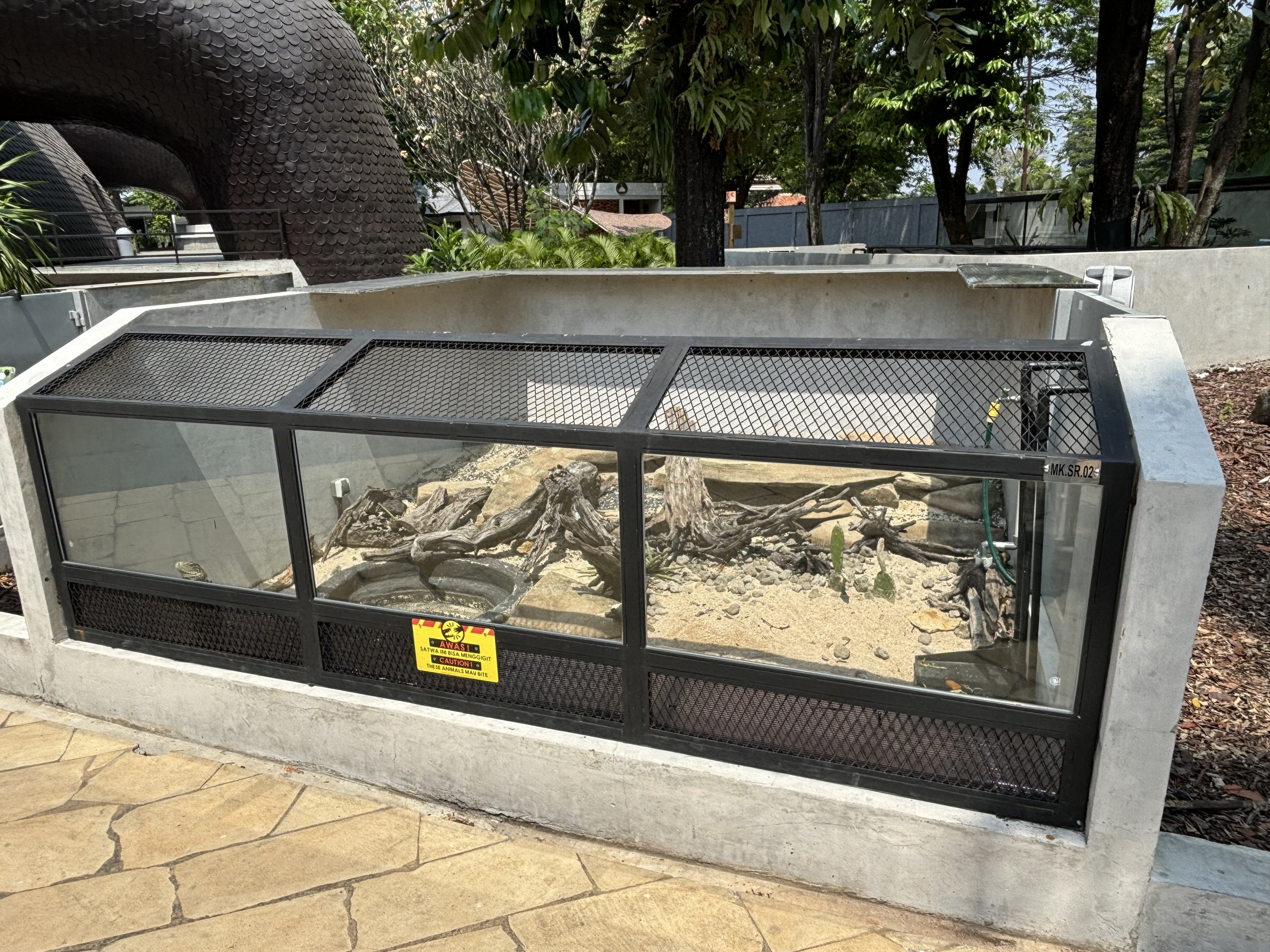 Cuban Rock Iguana Exhibit