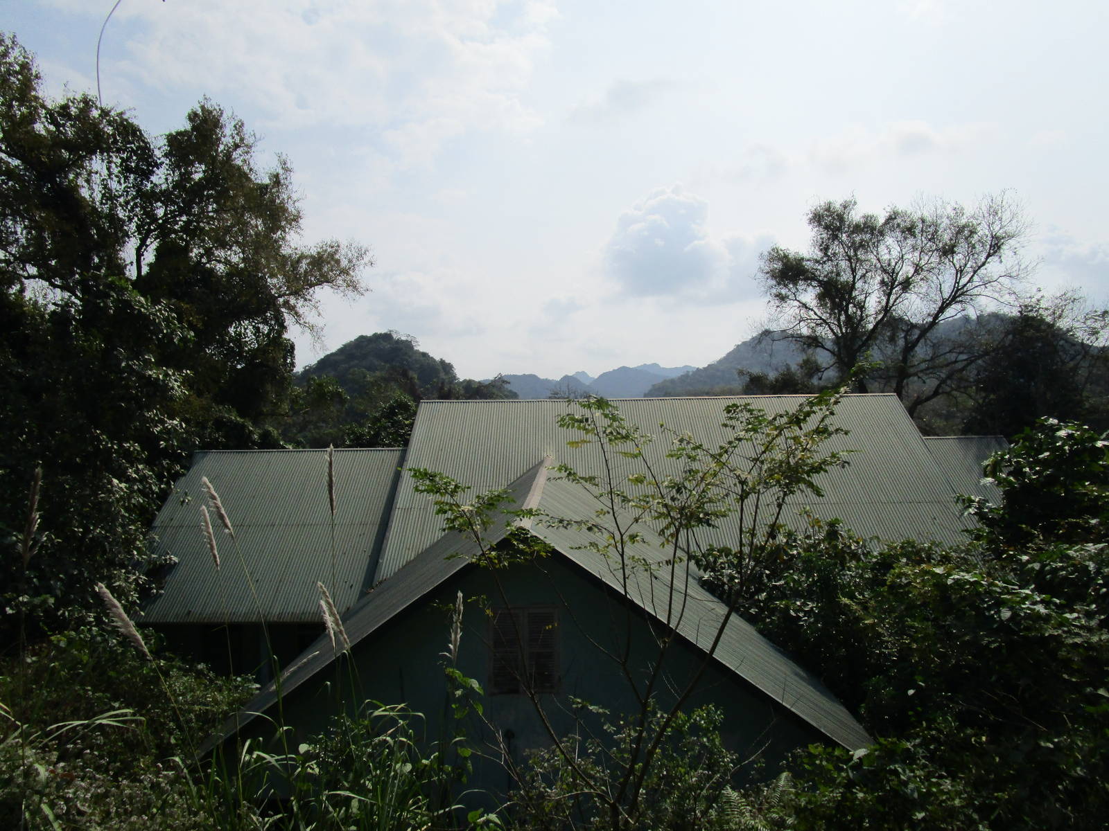 Cuc Phuong National Park - View from my bedroom
