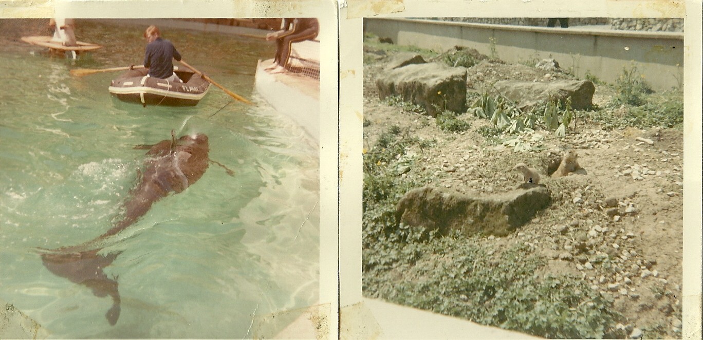 Cuddles left, Prairie Marmots right 1970