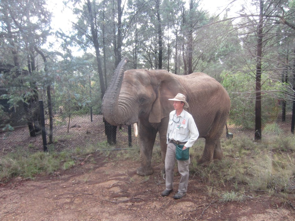 Cuddles' morning walk