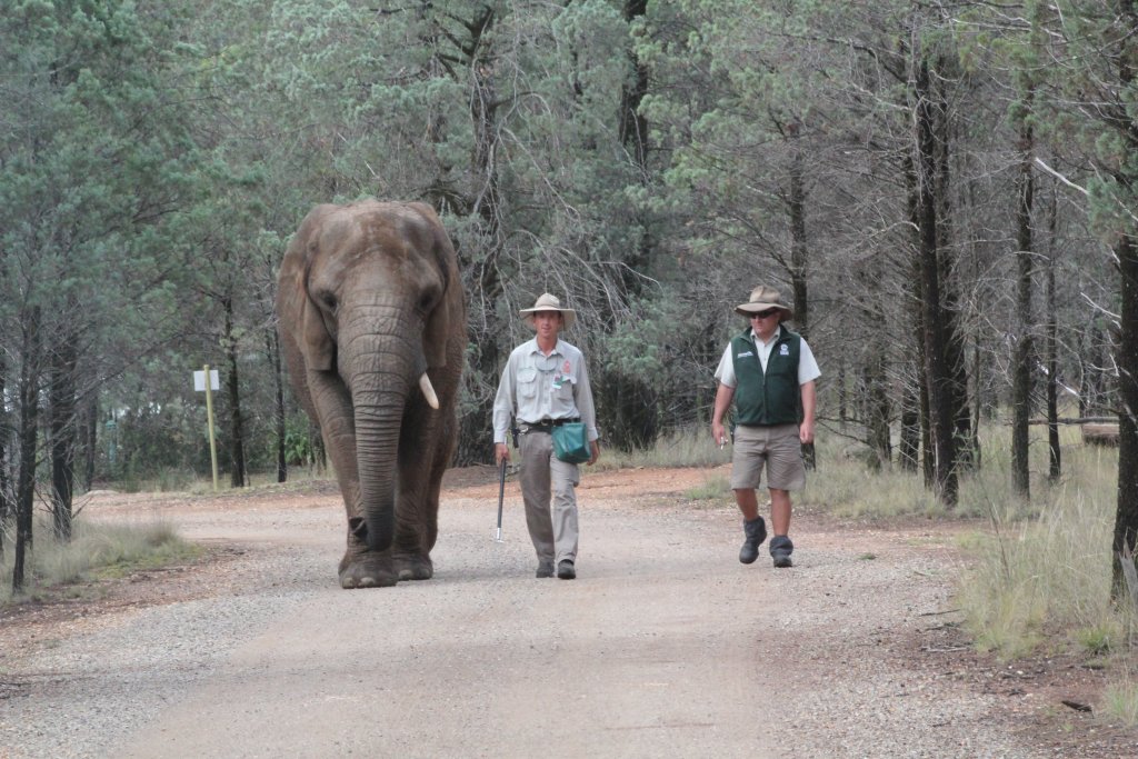 Cuddles on her morning walk