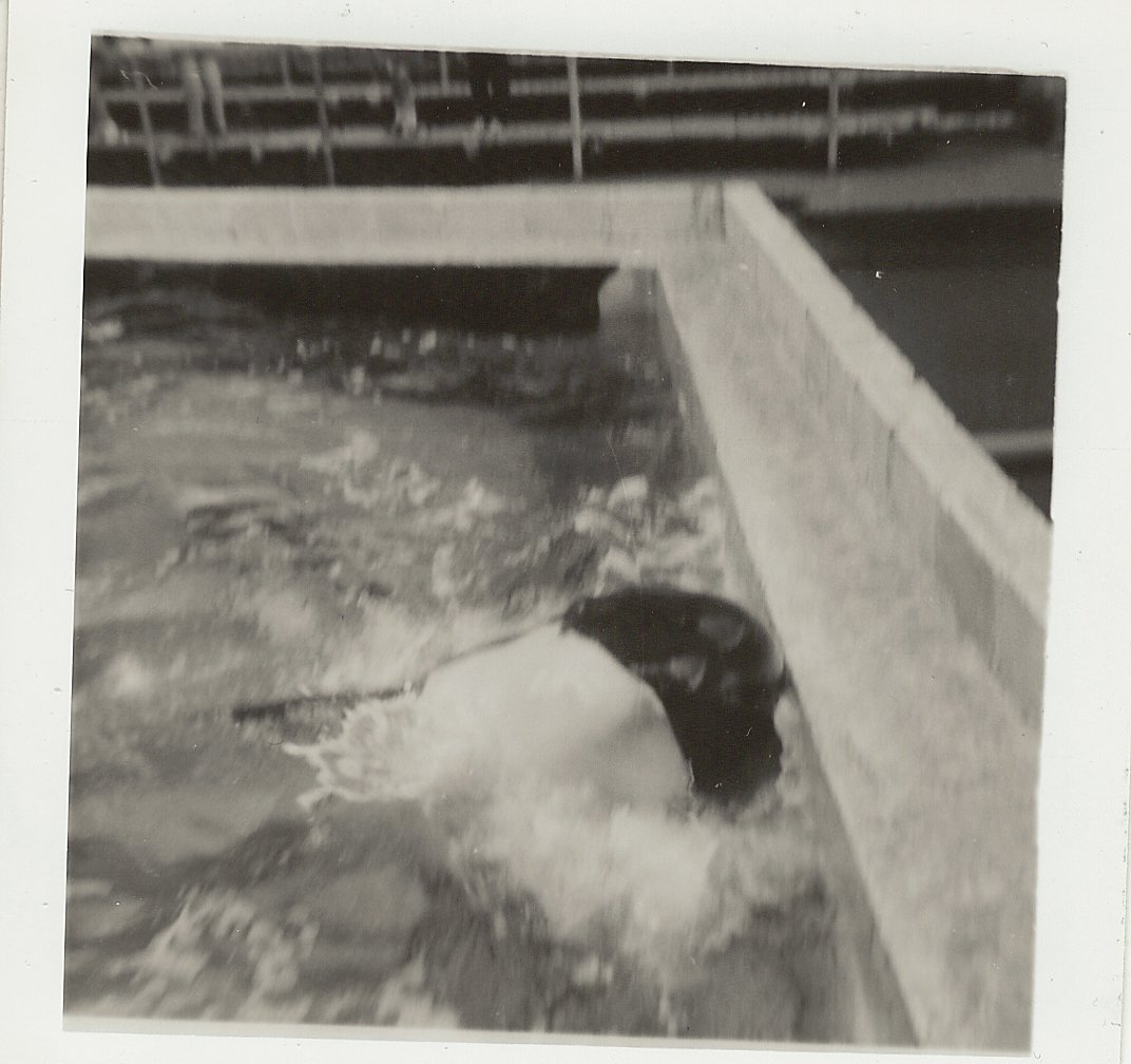 Cuddles the killer whale, June 1971