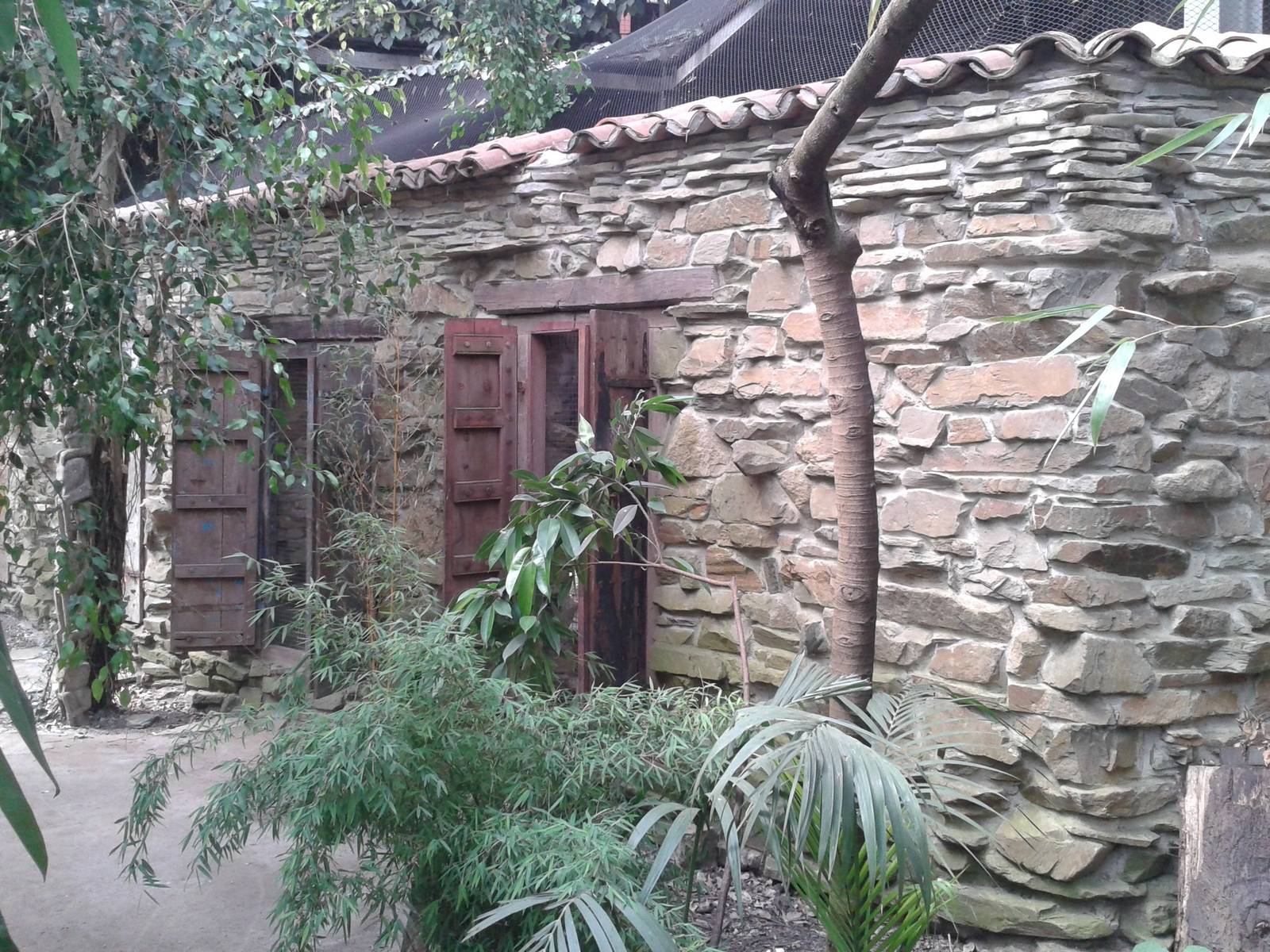 Curassow enclosure in the Bamboo Jungle