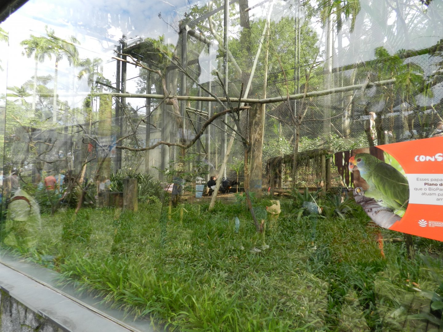 Curassow exhibit - BioParque do Rio
