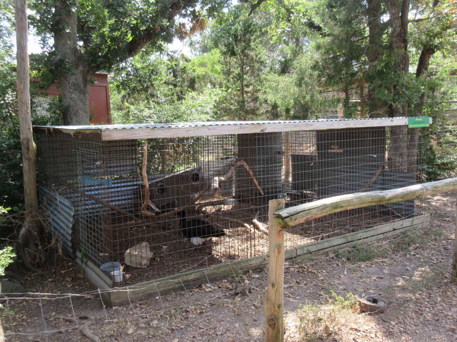 Curassow Exhibit + Two Additional Exhibits (empty?)