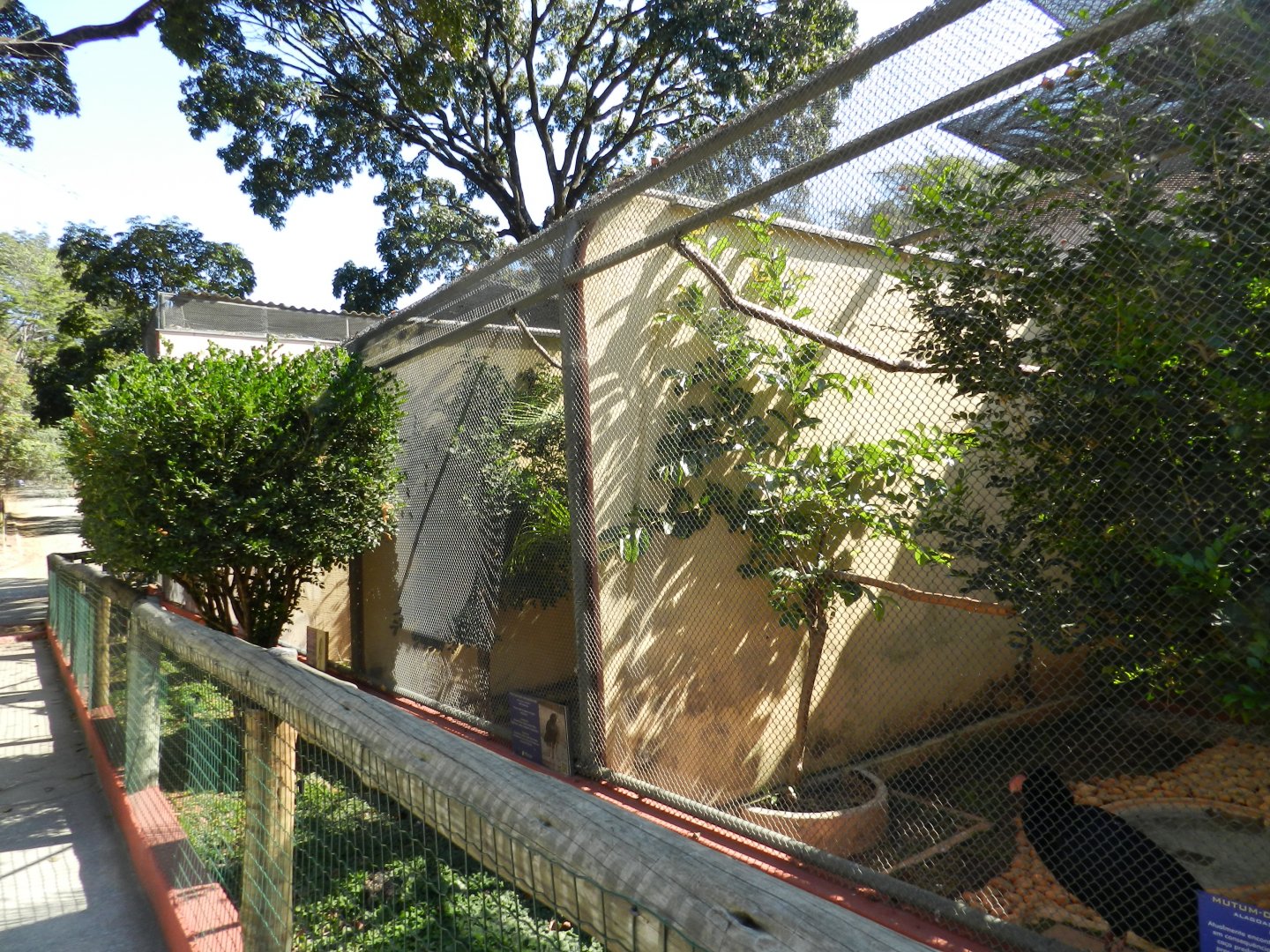 Curassow exhibits - Belo Horizonte zoo