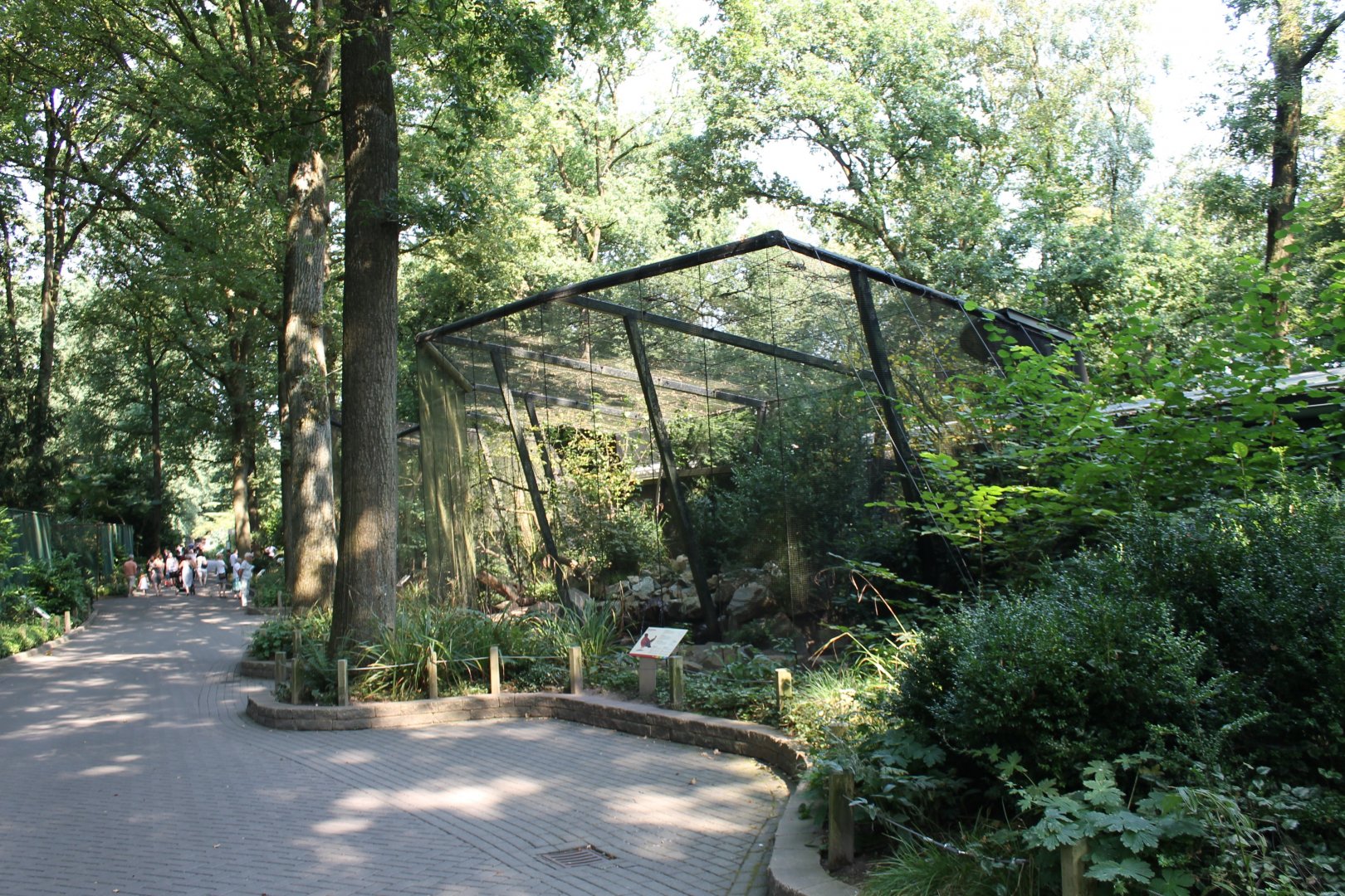 Curassow - Jay aviary