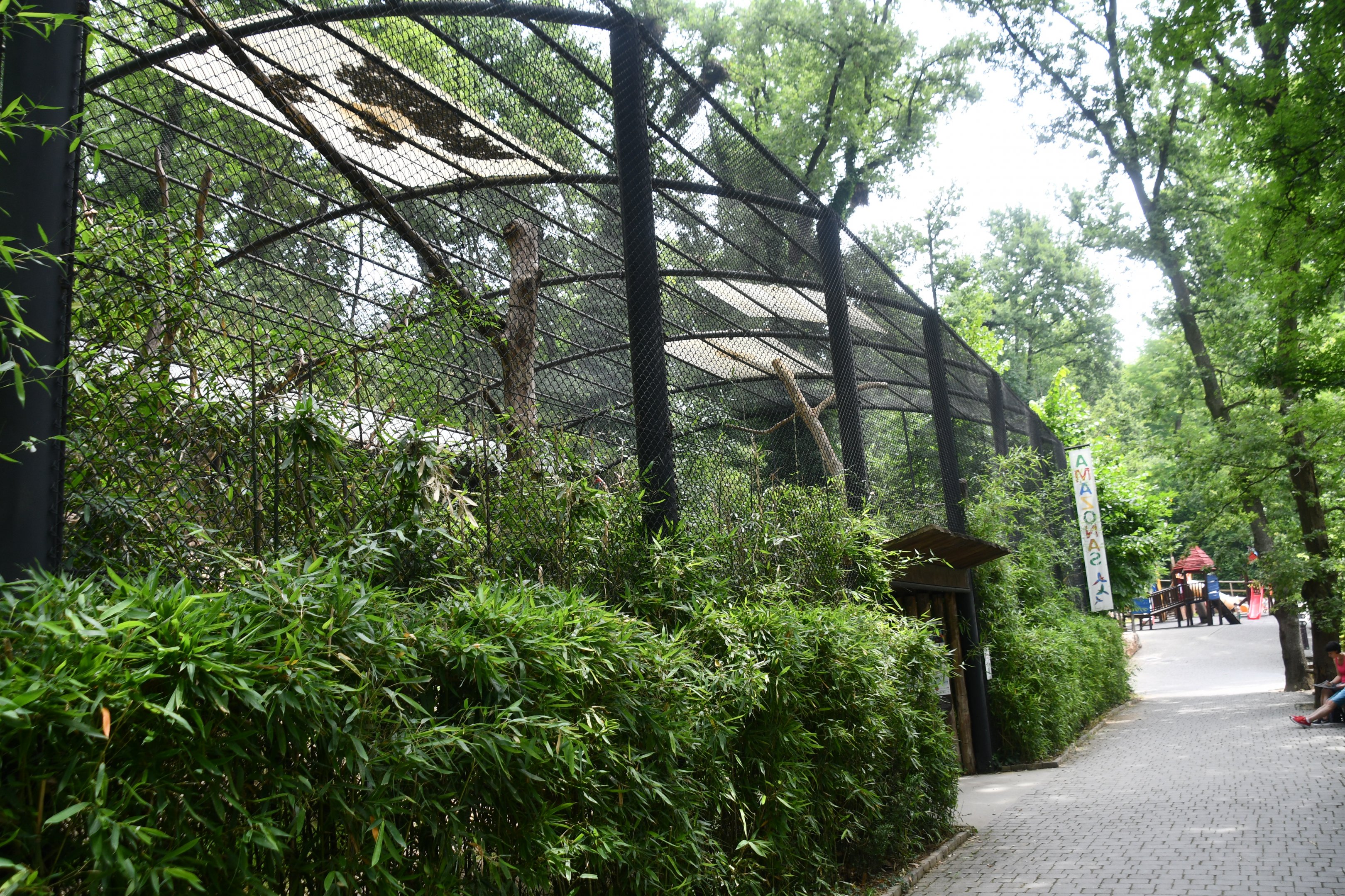 Curassow/Macaws aviary