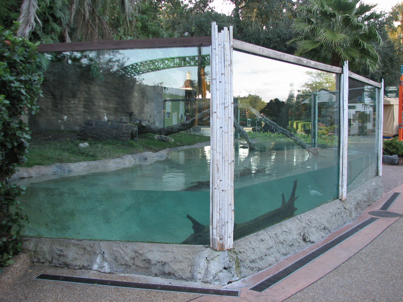 Curiosity Caverns - Asian Small-clawed Otter Exhibit