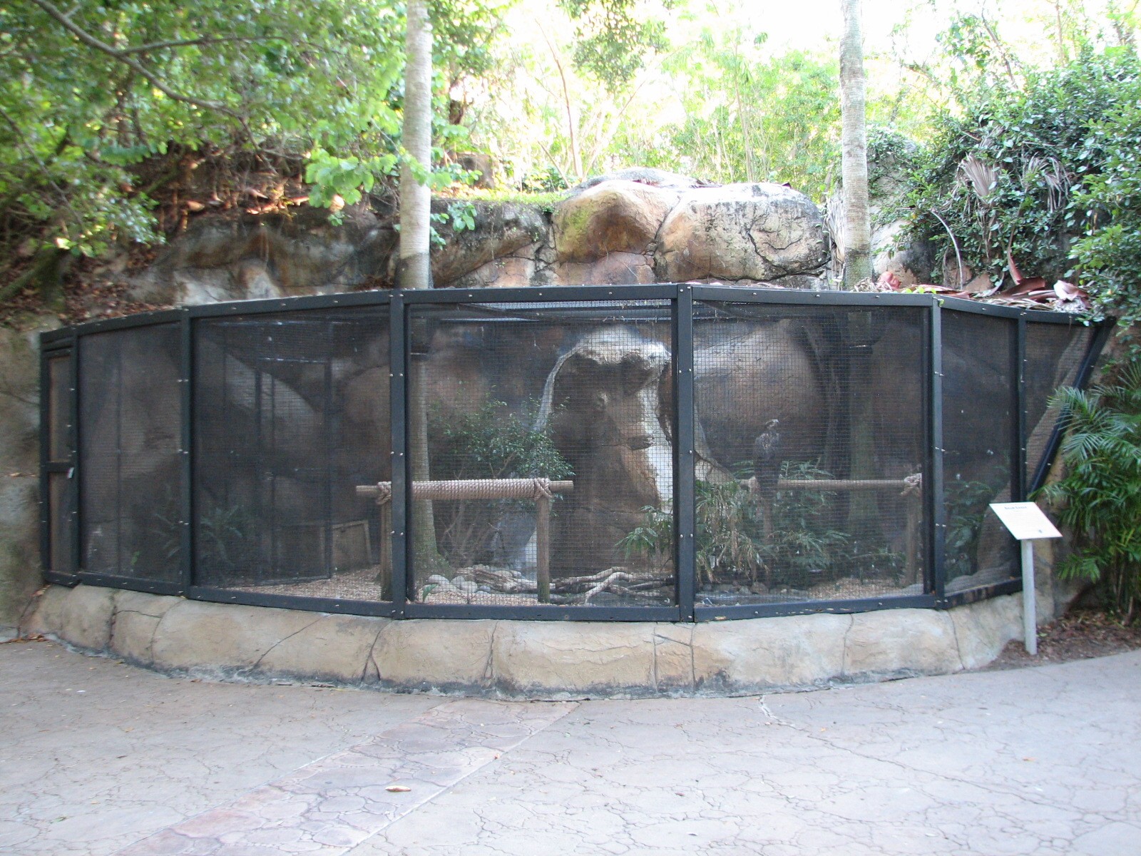 Curiosity Caverns - Bald Eagle Exhibit