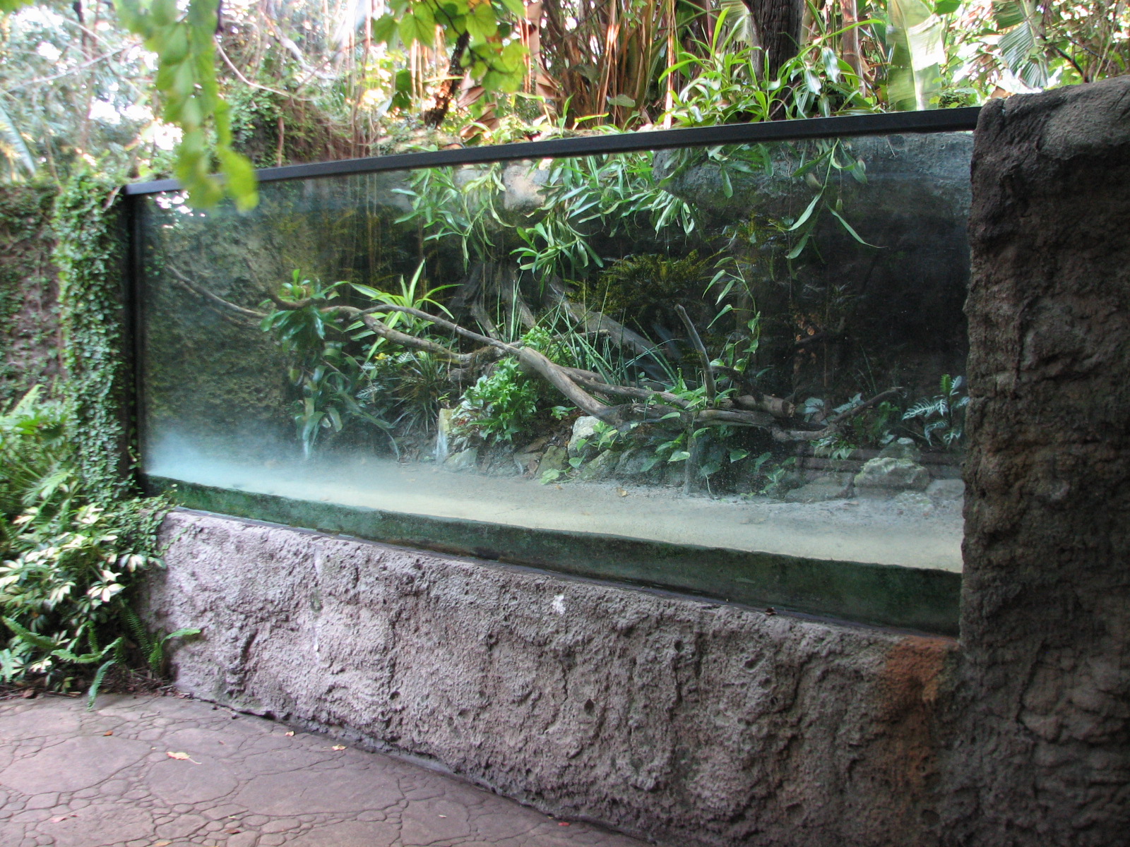 Curiosity Caverns - Empty Exhibit