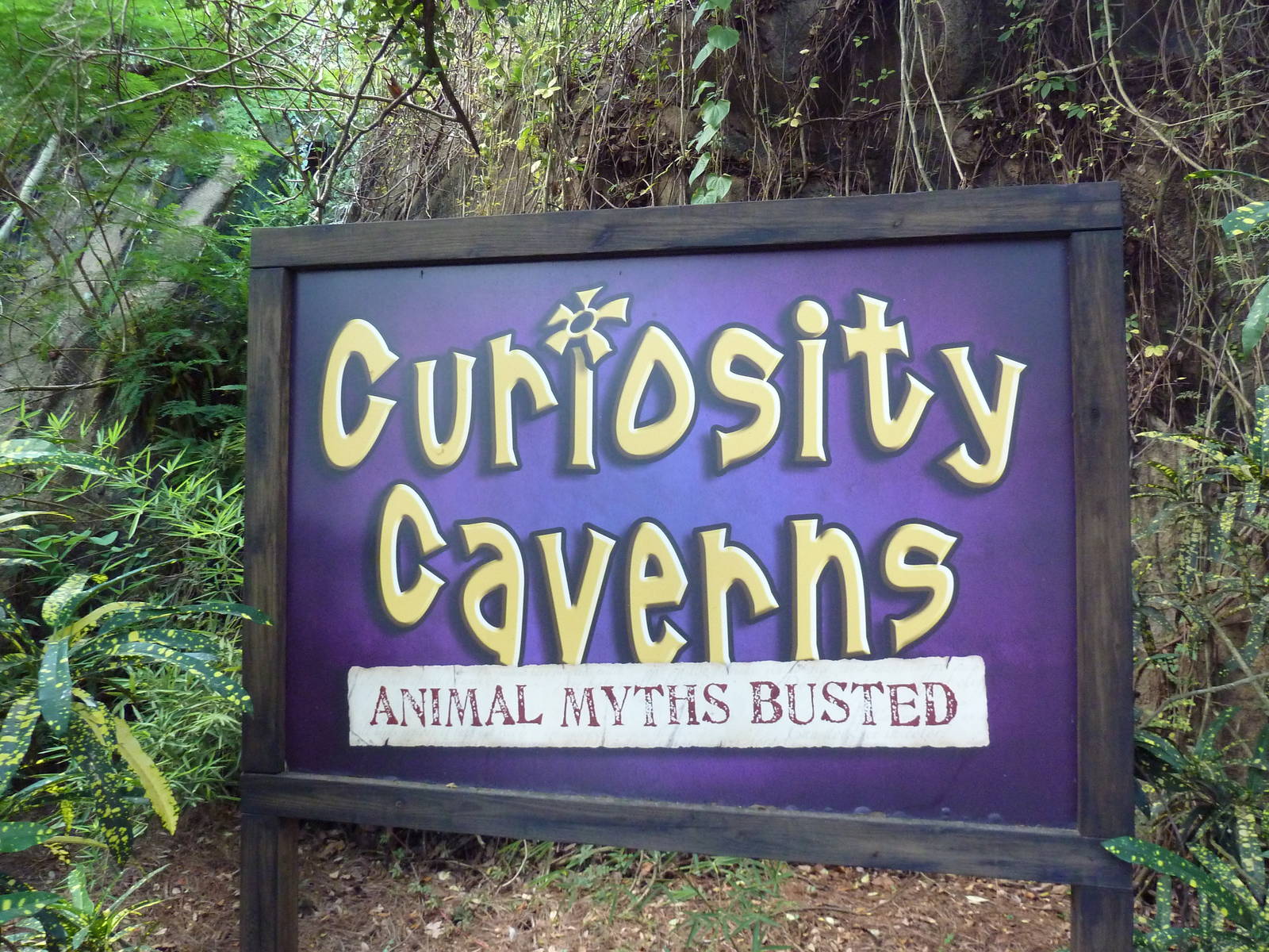 Curiosity Caverns - Entrance Sign