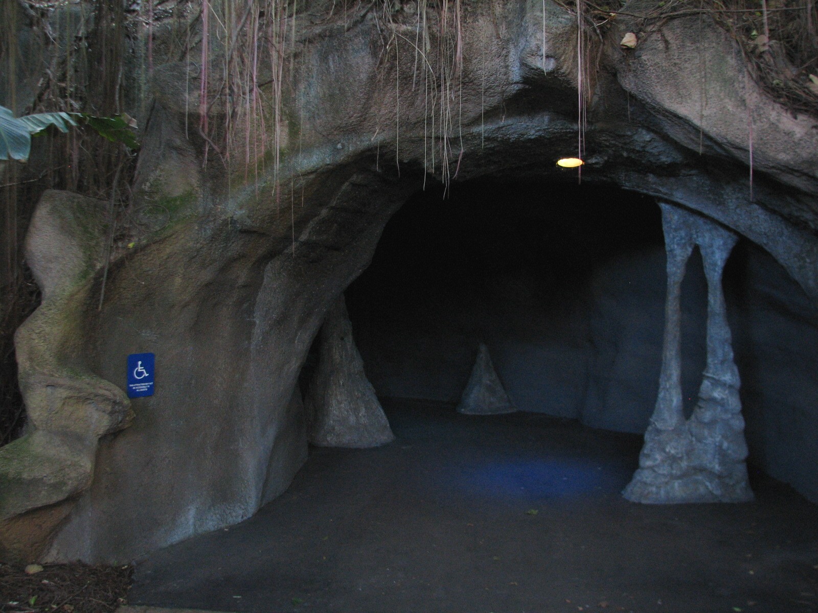 Curiosity Caverns - Entrance