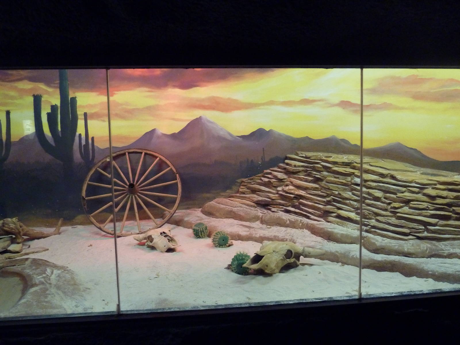 Curiosity Caverns - Gila Monster Exhibit